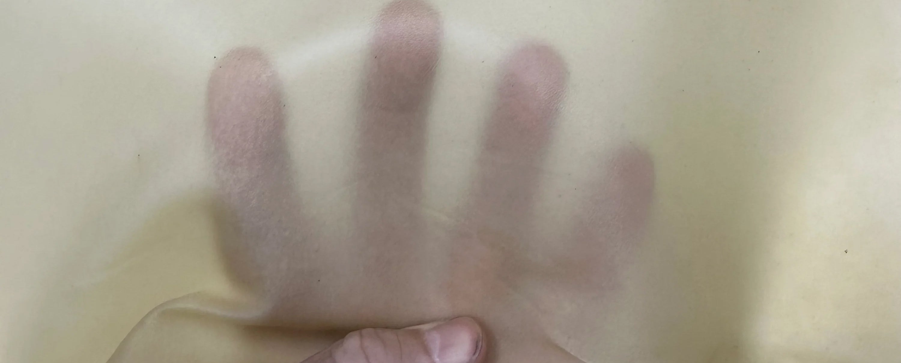 Transparent Leather
