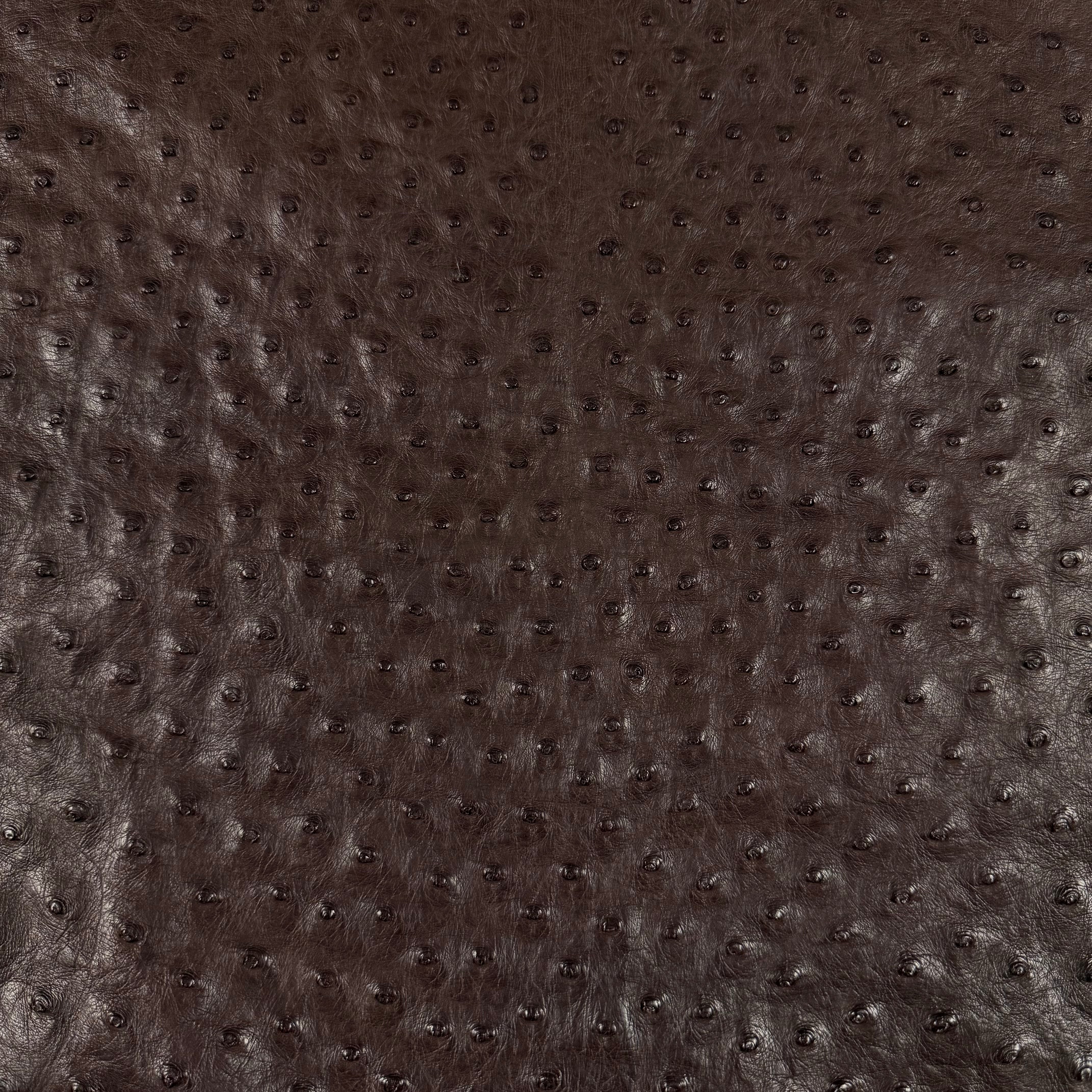 Dark brown full quill genuine ostrich leather with a distinct raised quill pattern.