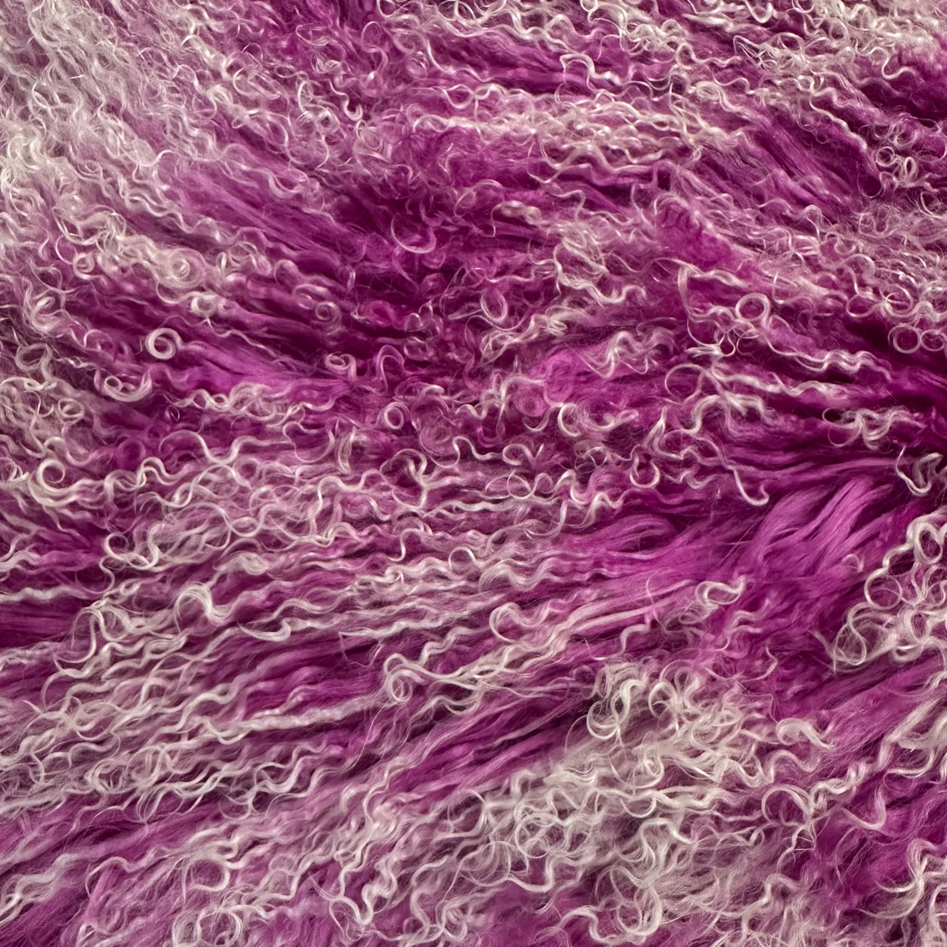 Mongolian Tibetan Curly Lamb Plate | Pink and Blue Tipped