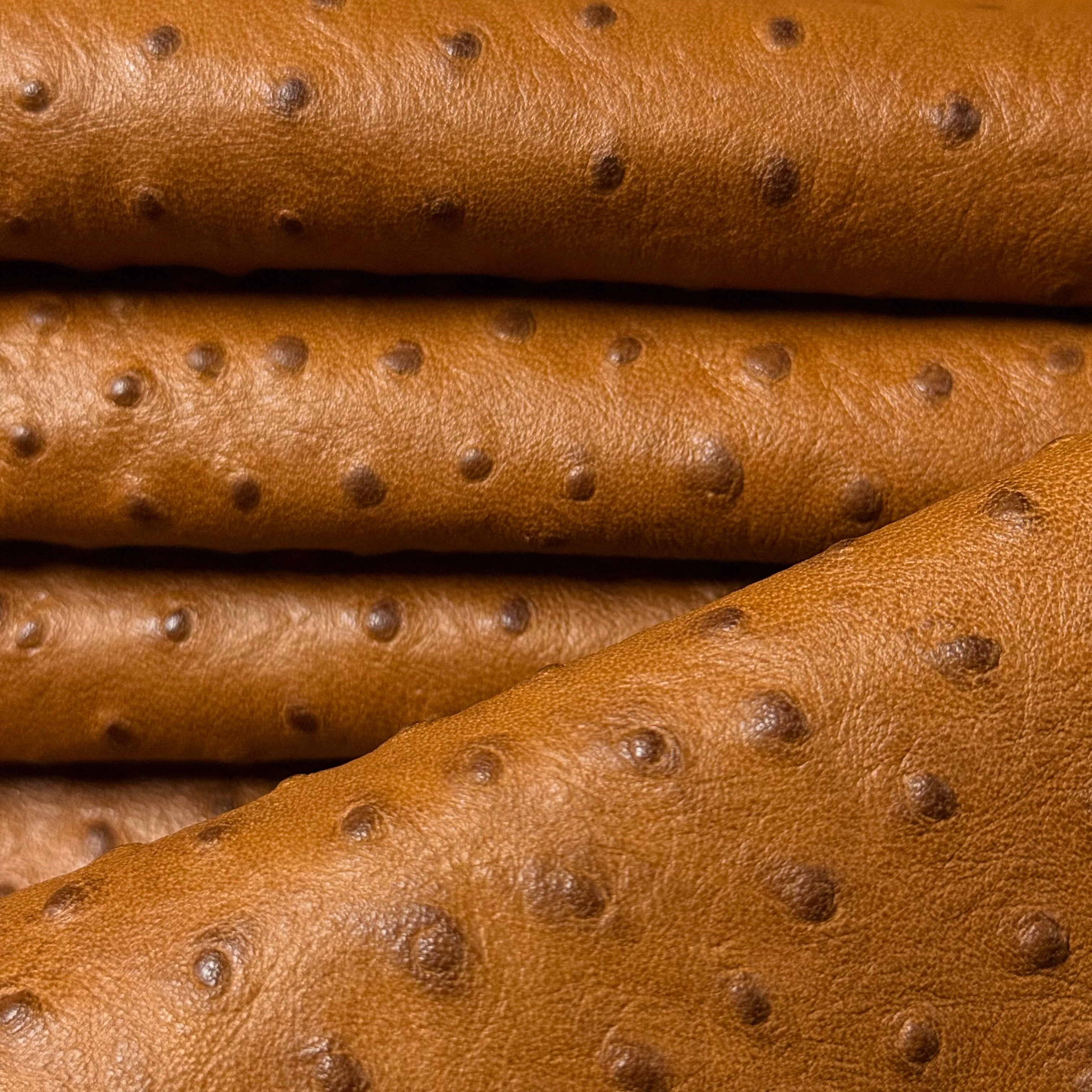 Ostrich Quill Embossed Veg Tan Lambskin, 2.5 oz | 3 Colors