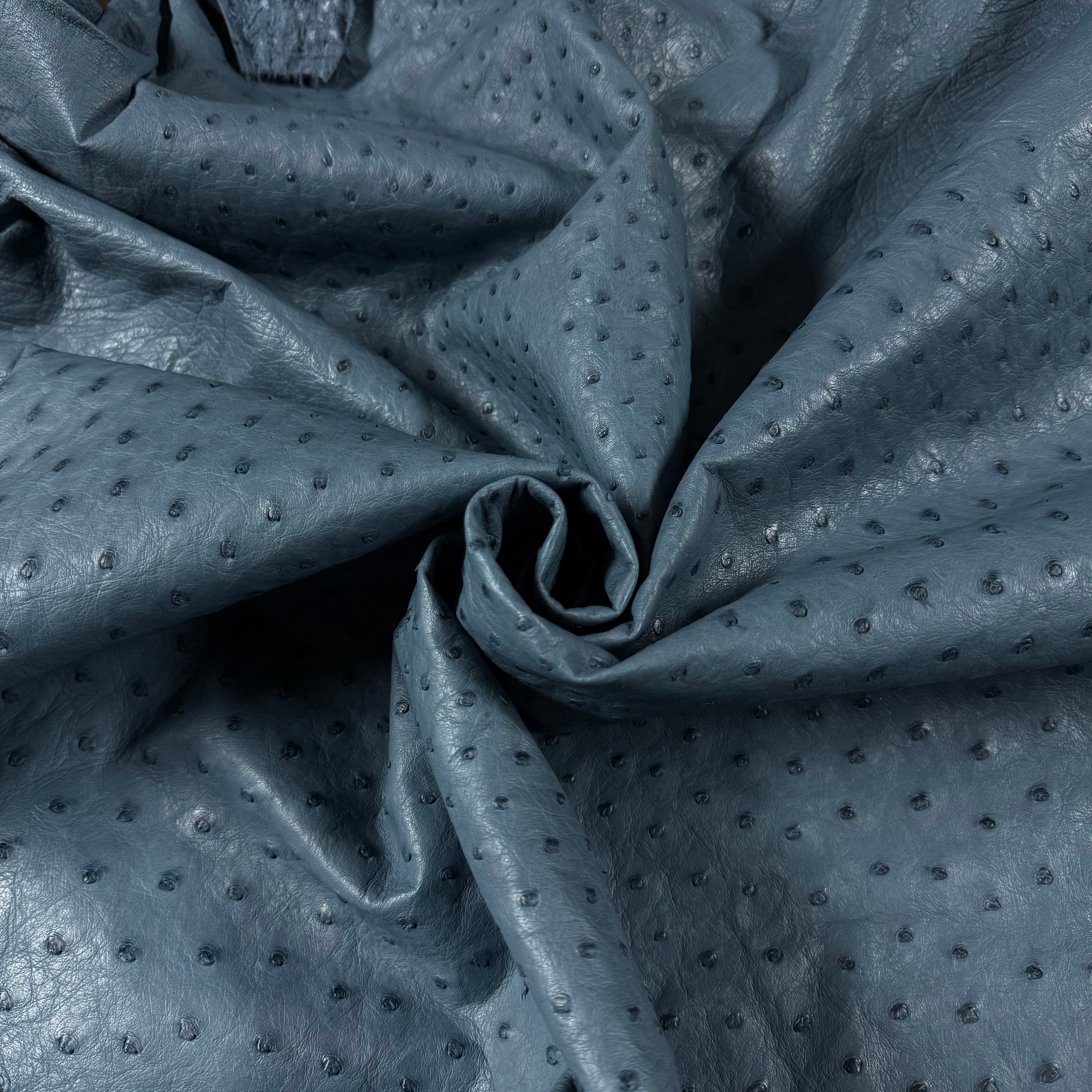 Genuine full quill ostrich leather in a soft blue-gray, showcasing its unique raised quill pattern.