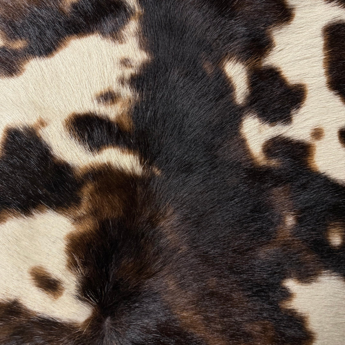 Long Hair Tri-Color Cavallino Hair-On, 5 oz