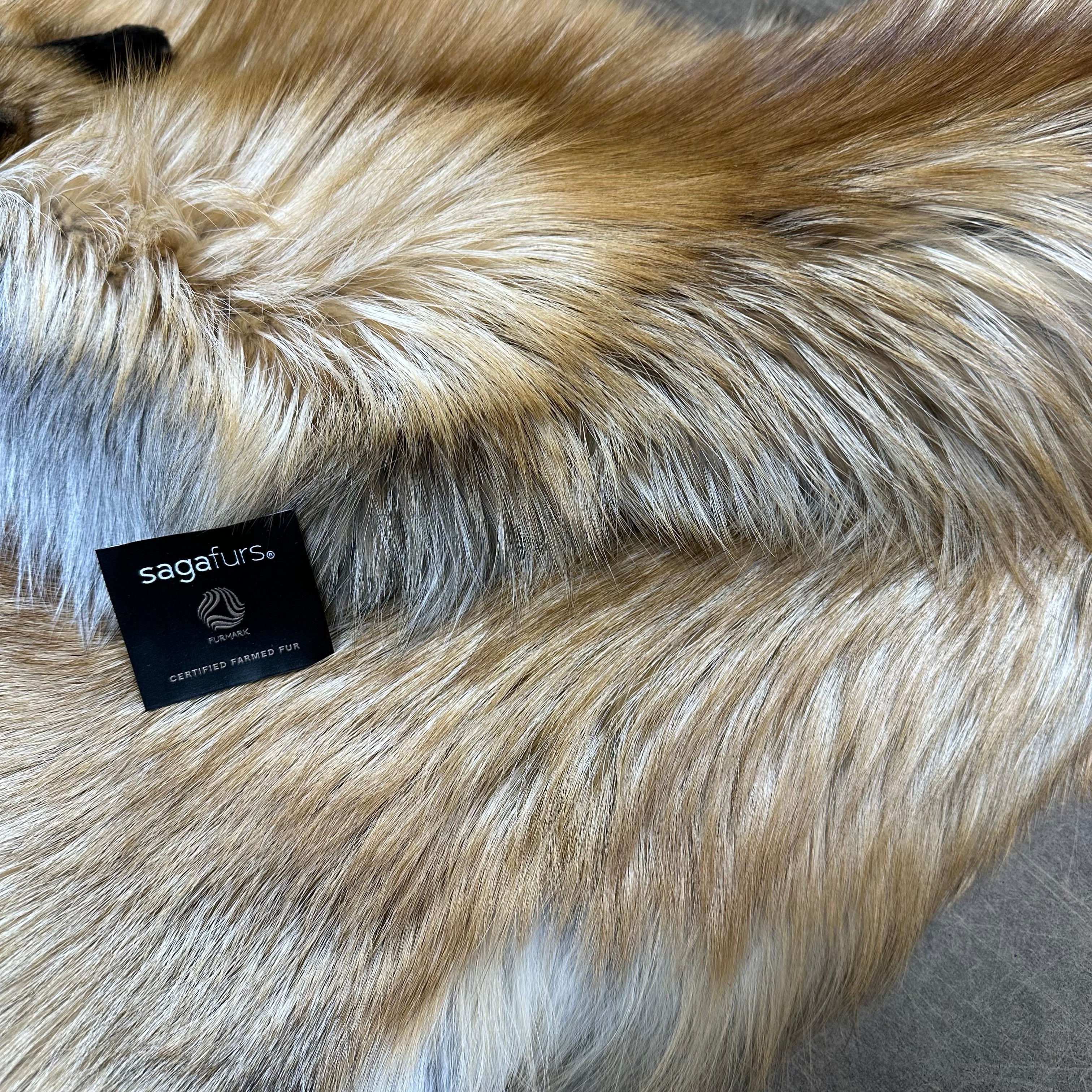 Gold Fox Pelt
