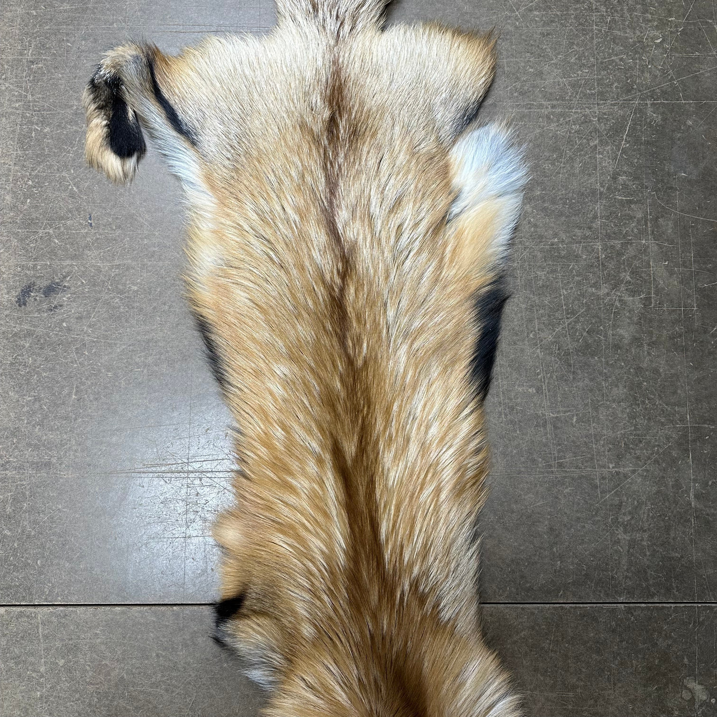 Gold Fox Pelt