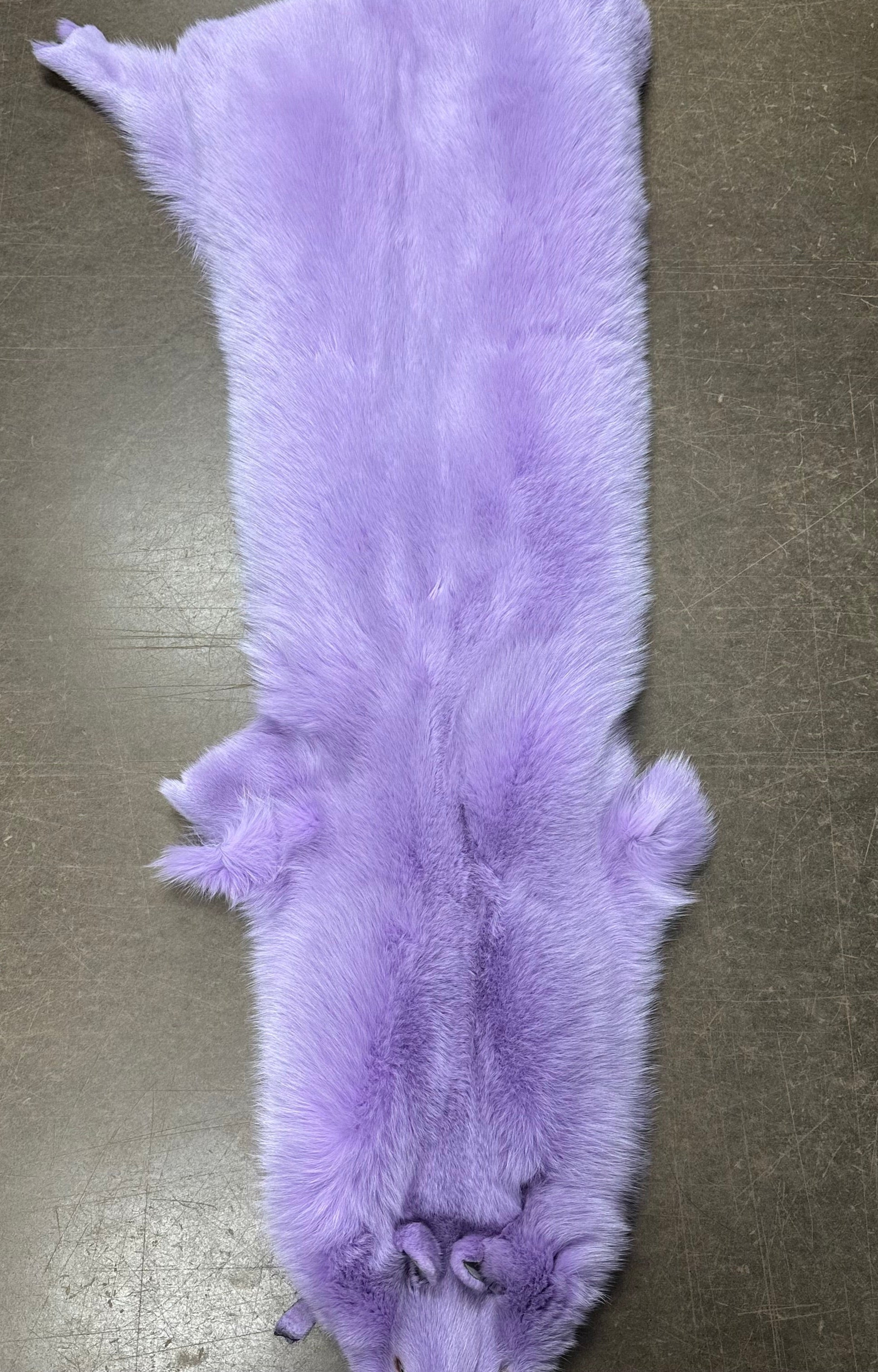 Fox Pelt | 30+ Colors
