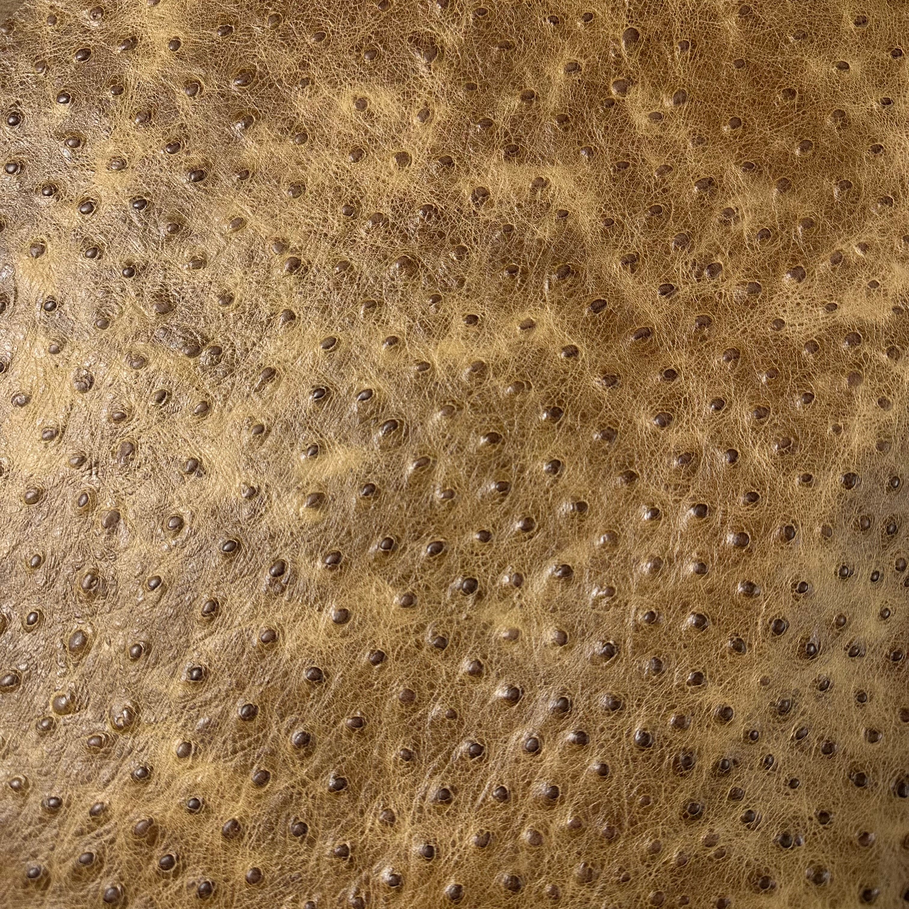 Distressed Two-Tone Ostrich Embossed Cow, 3 oz