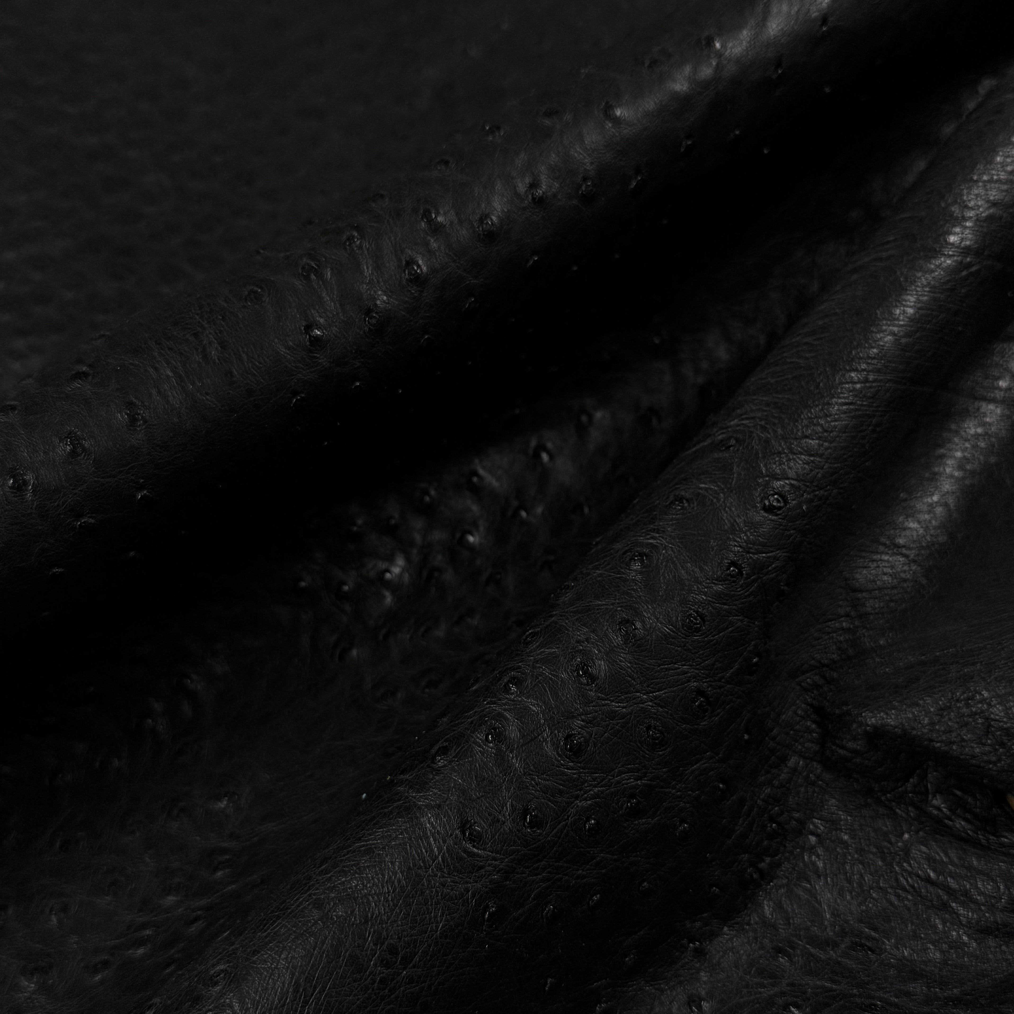 Black genuine ostrich leather with natural full quill pattern and soft texture.