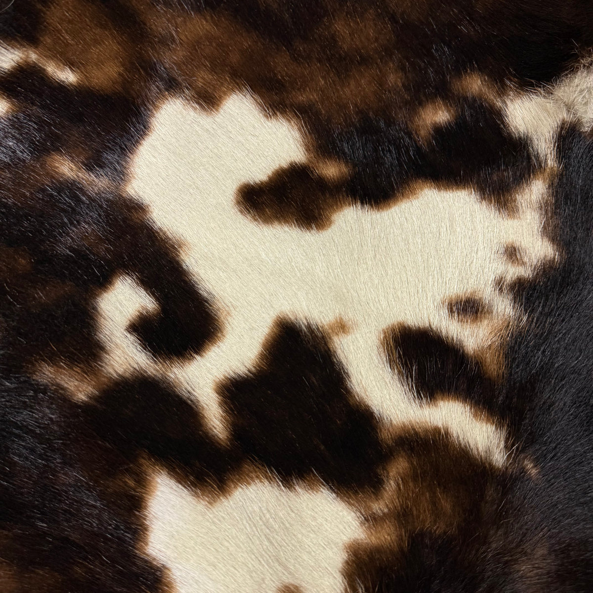 Long Hair Tri-Color Cavallino Hair-On, 5 oz