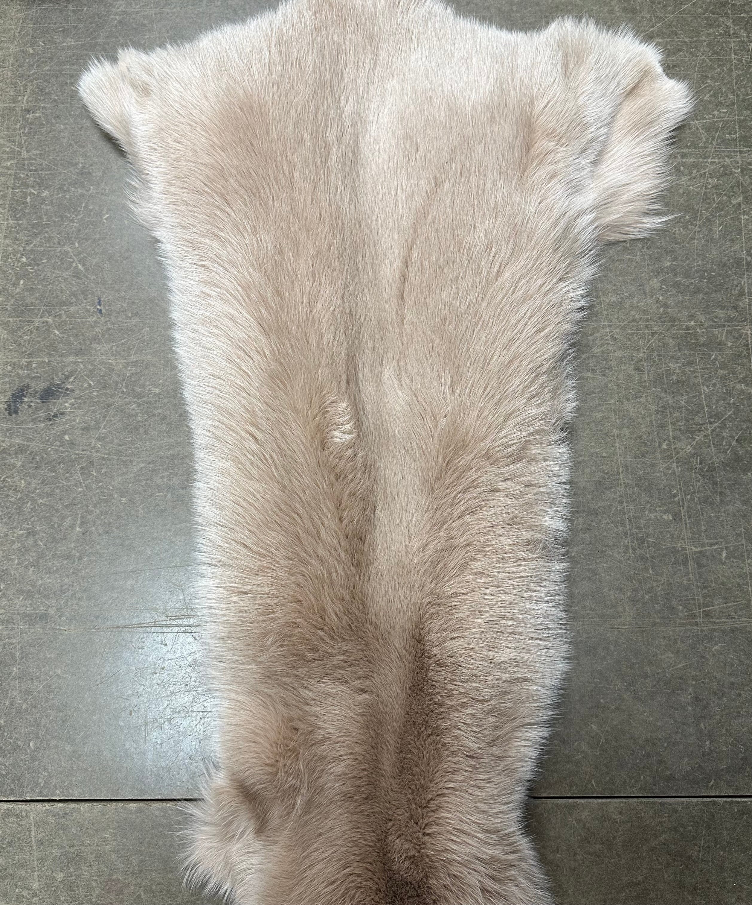 Fox Pelt | 30+ Colors