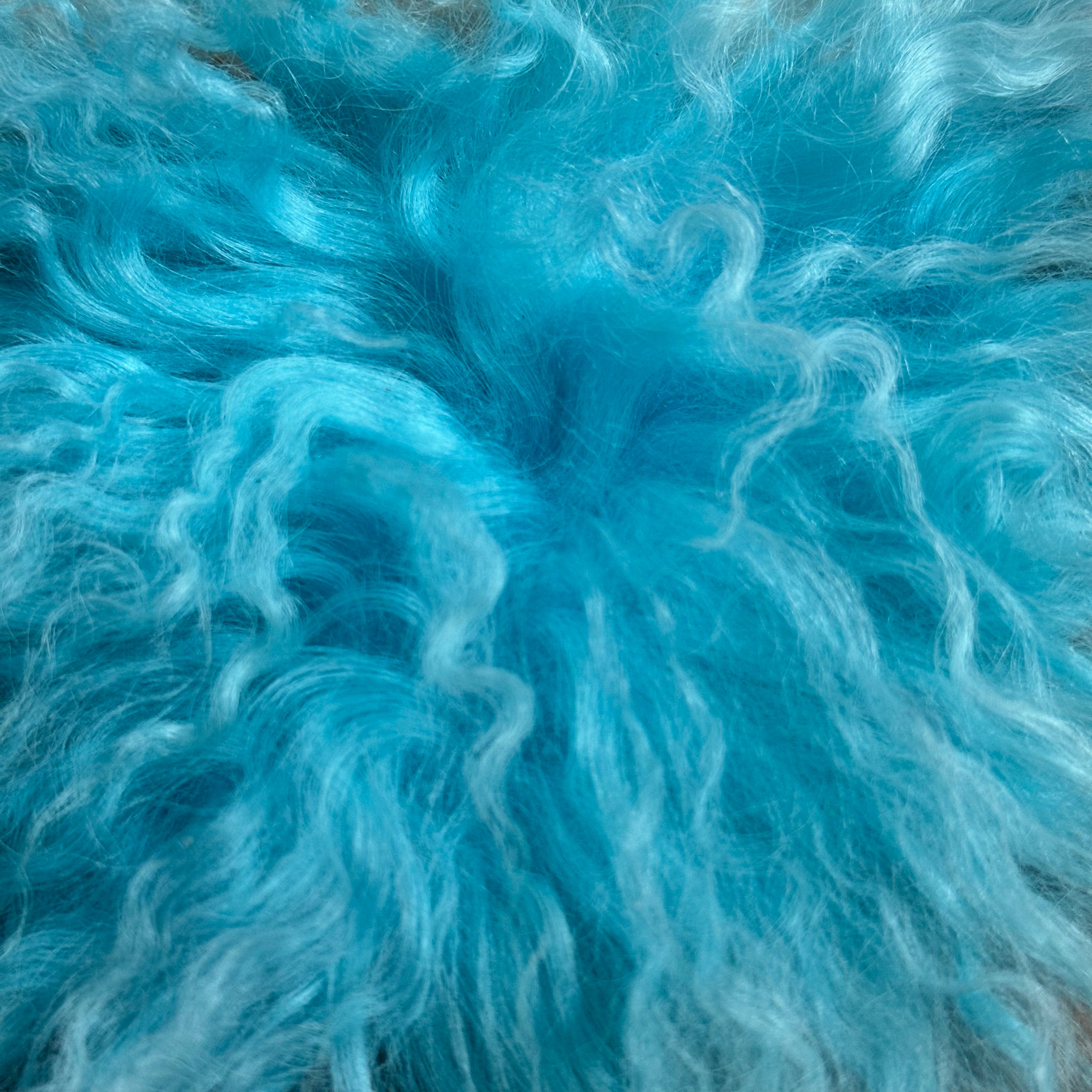 Mongolian Tibetan Curly Lamb Plate | 30+ Colors