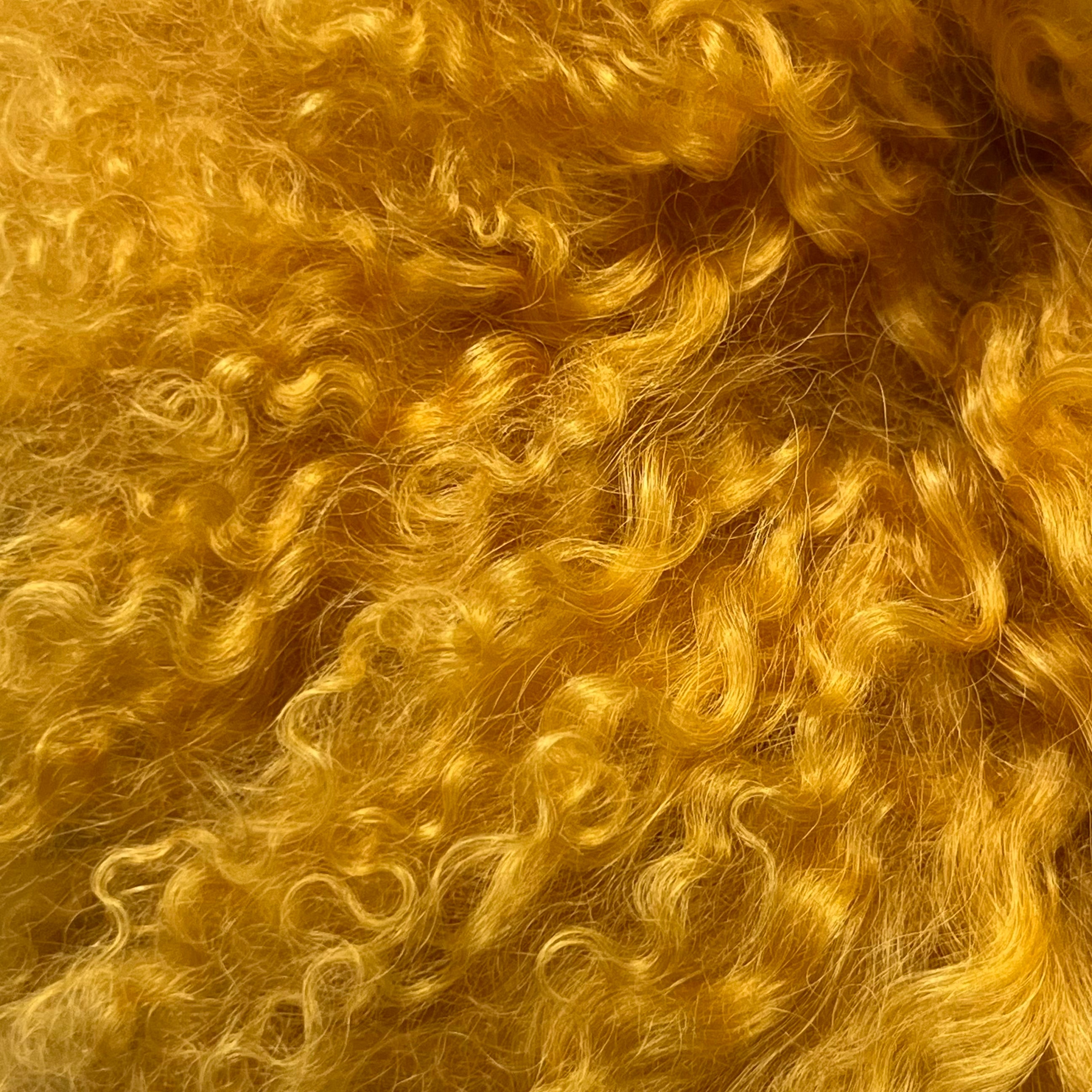 Mongolian Tibetan Curly Lamb Plate | 30+ Colors