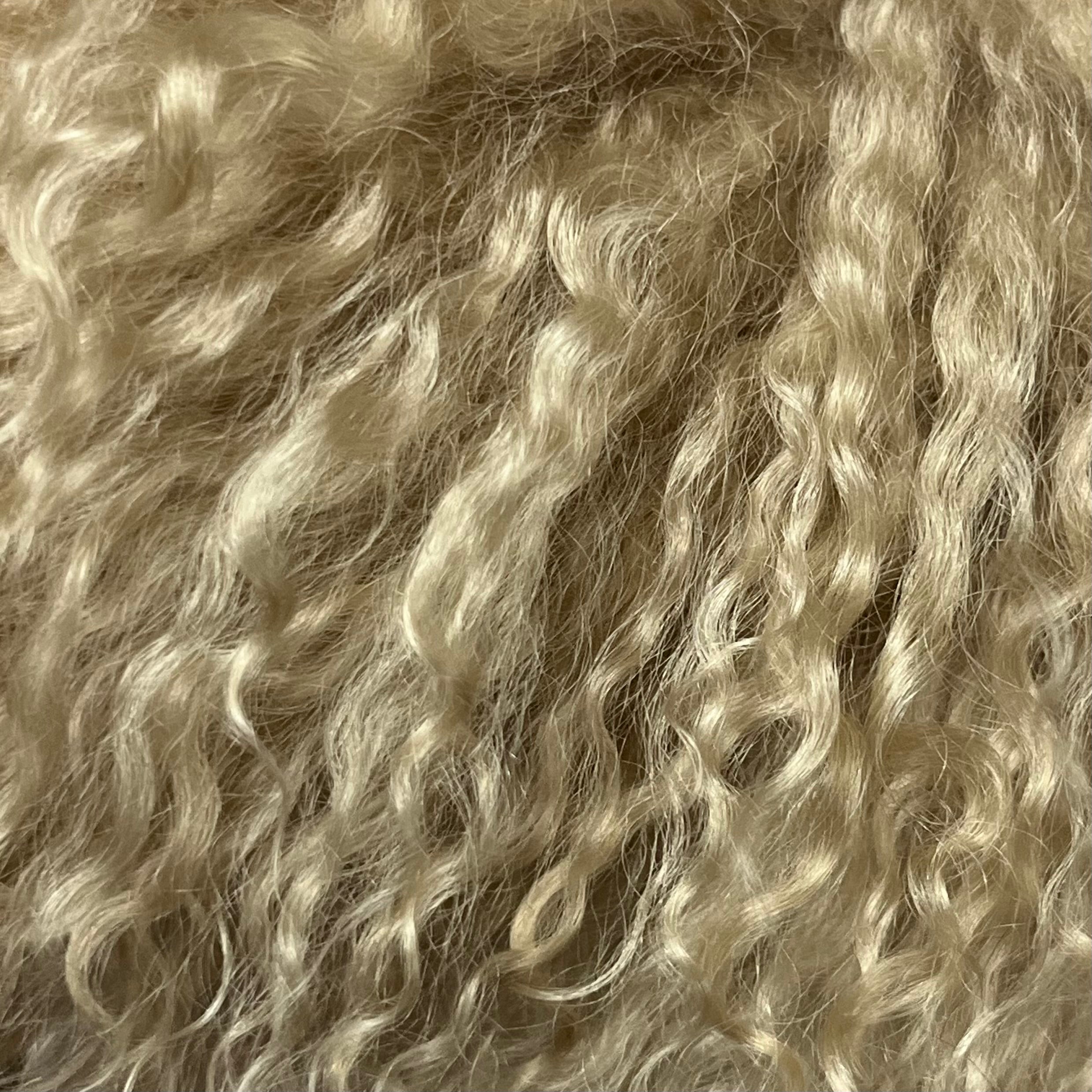 Mongolian Tibetan Curly Lamb Plate | 30+ Colors