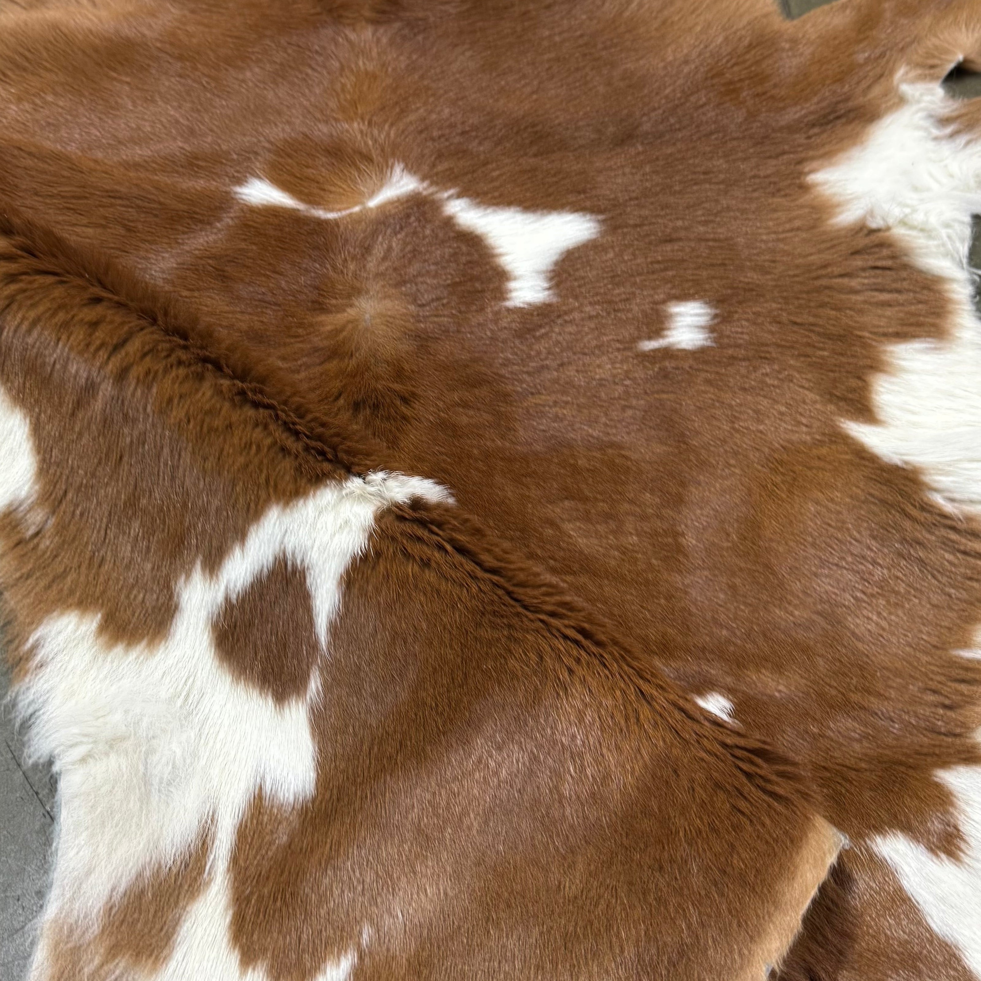 Long Hair Natural Cavalino Hair-On Calf, 5 oz