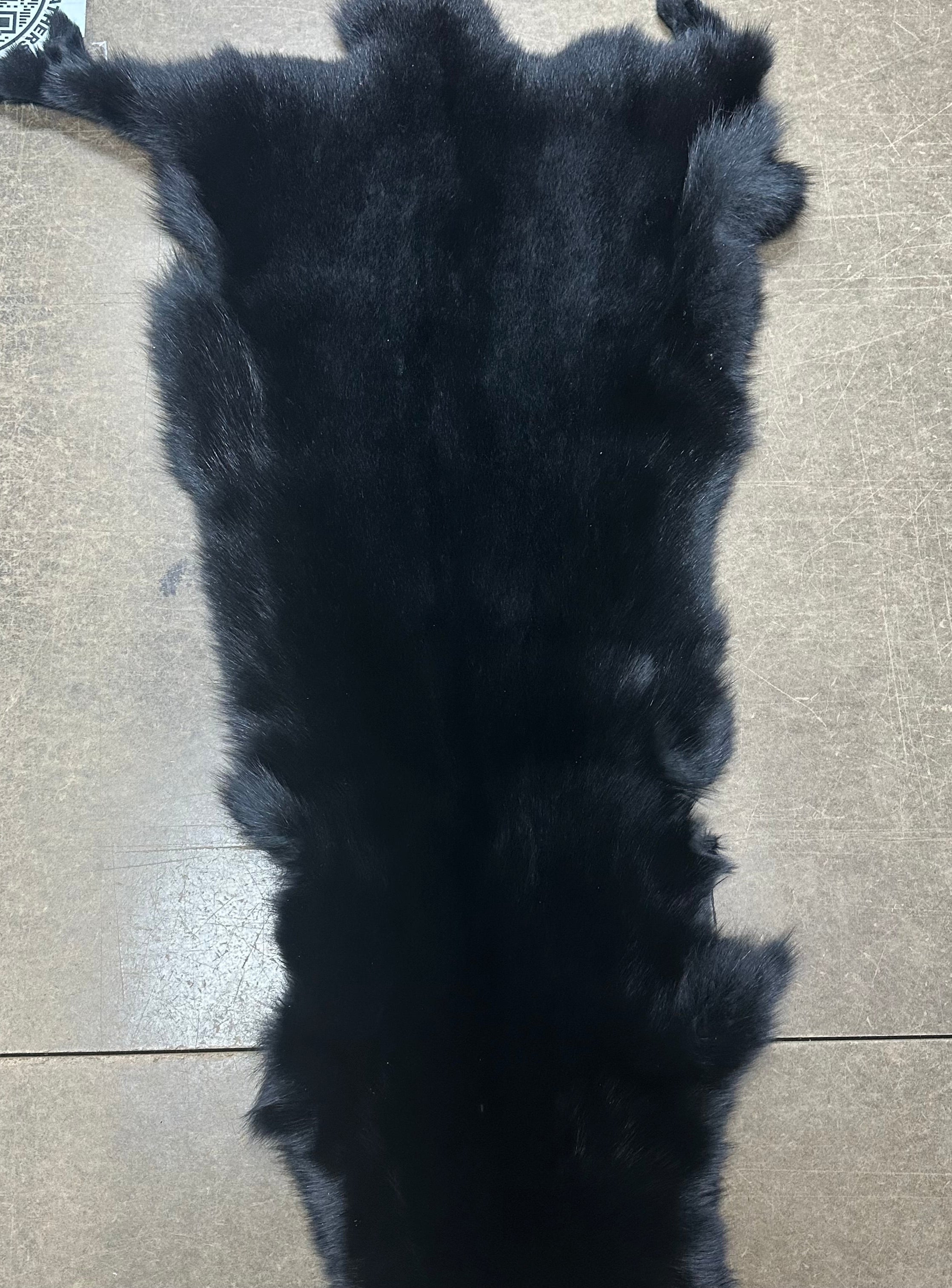 Fox Pelt | 30+ Colors