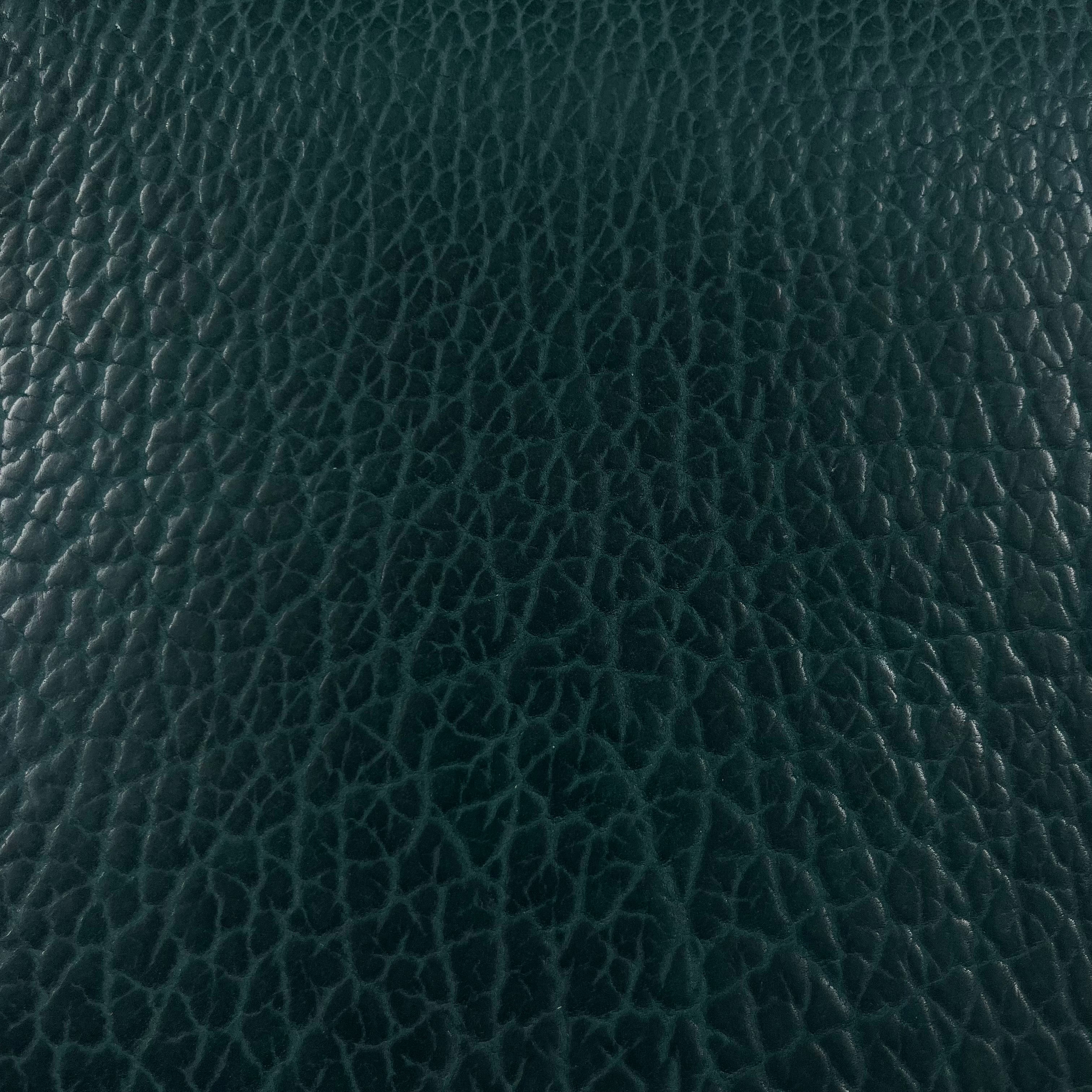 Shrunken American Bison, 6-7 oz | 7 Colors