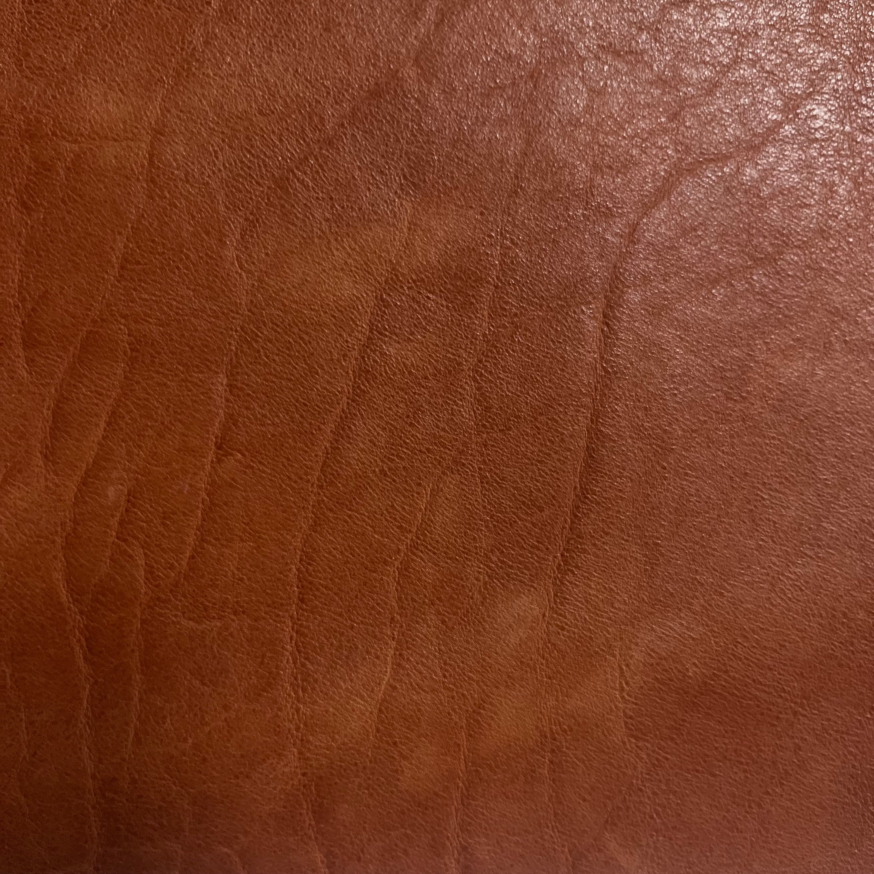 Garment Weight American Bison, 3-4 oz | 6 Colors