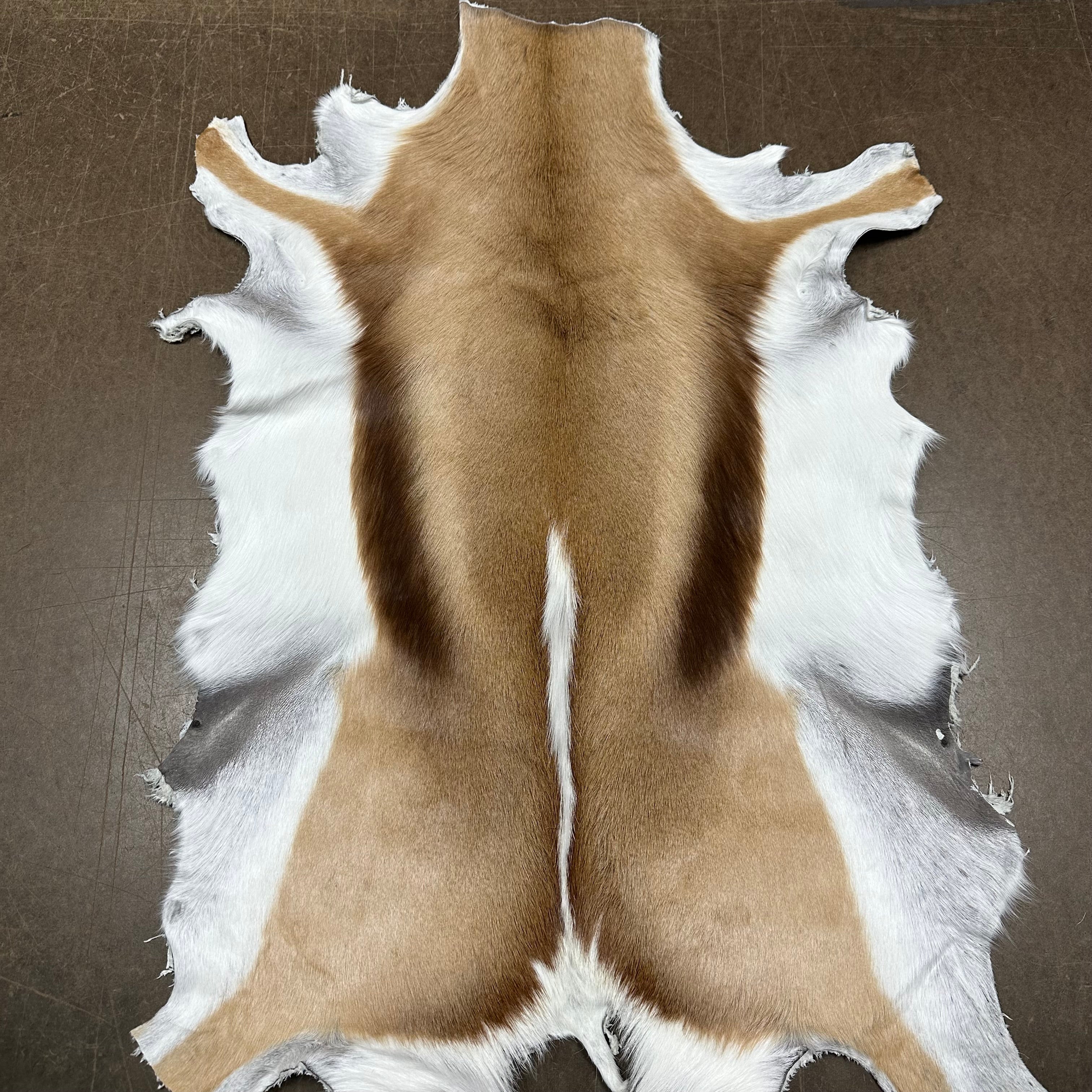 Springbok Natural Hair-on Hides, 2-2.5 oz