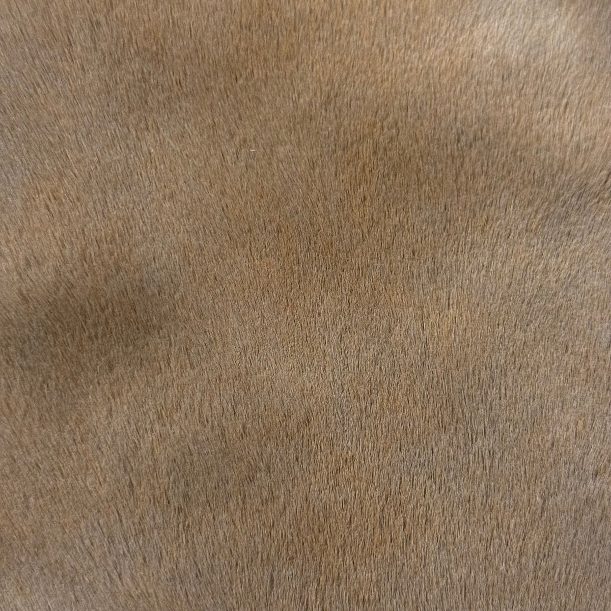 Natural Hair-On Kangaroo, Suede Back | Reversible