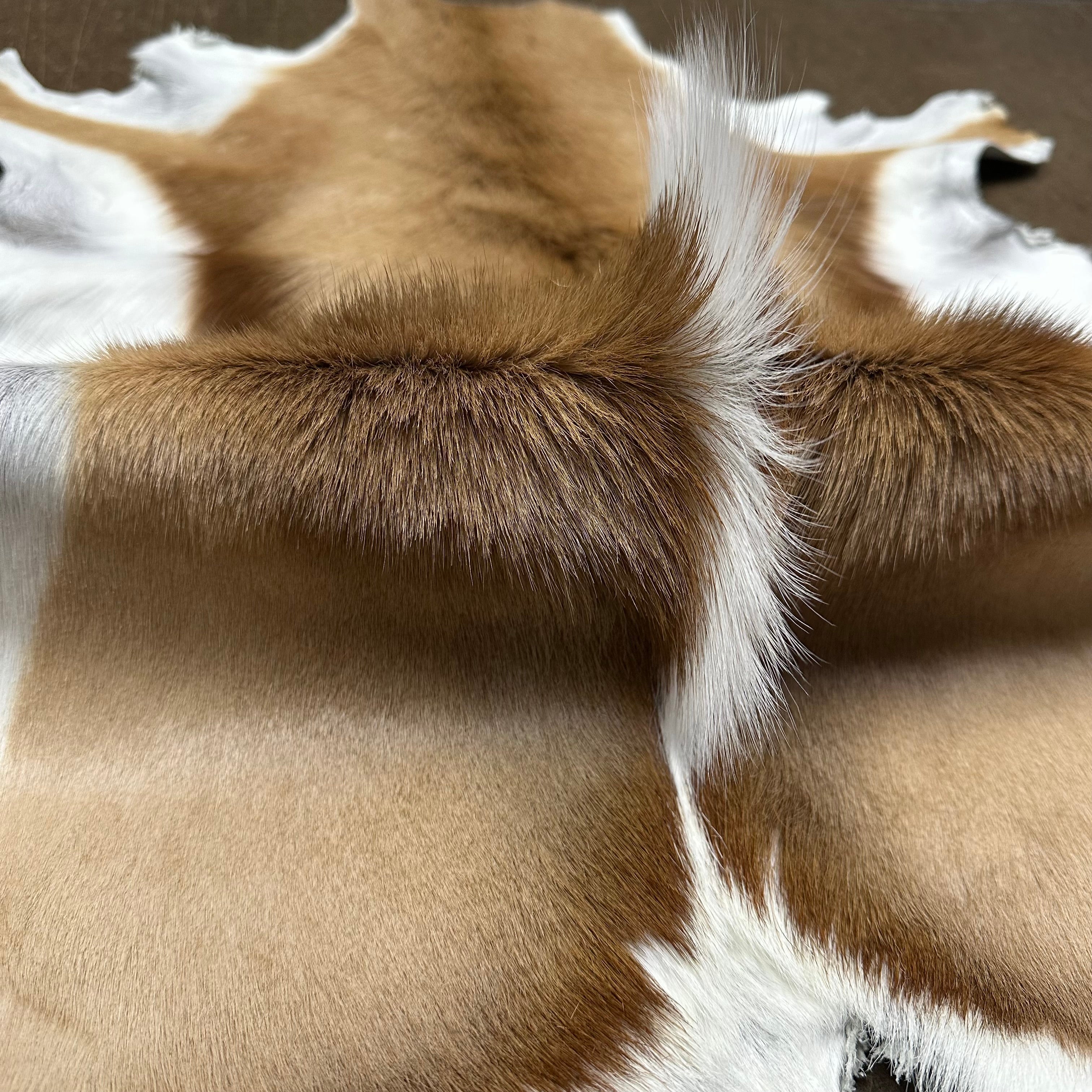 Springbok Natural Hair-on Hides, 2-2.5 oz