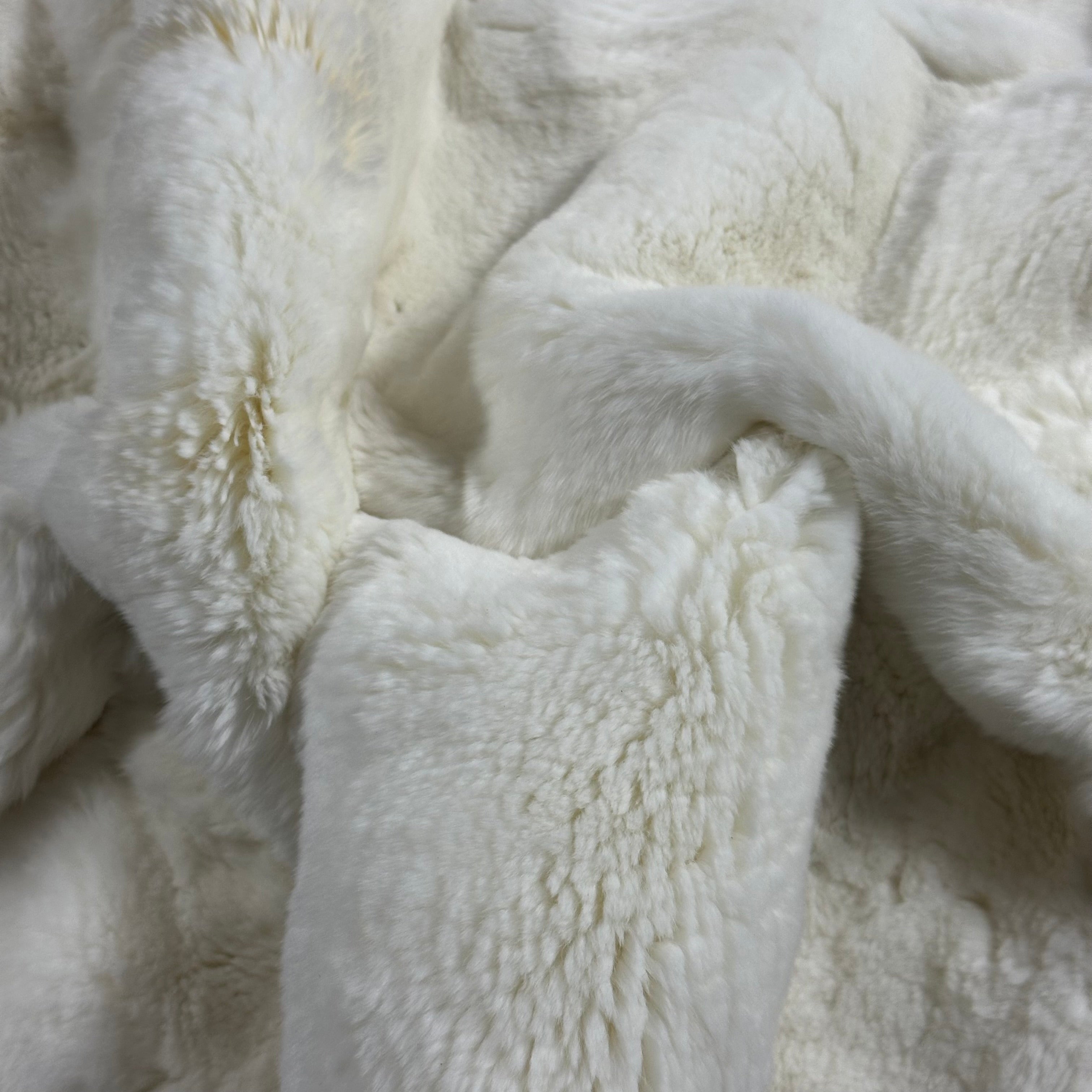 Rex Rabbit Plate | 3 Colors