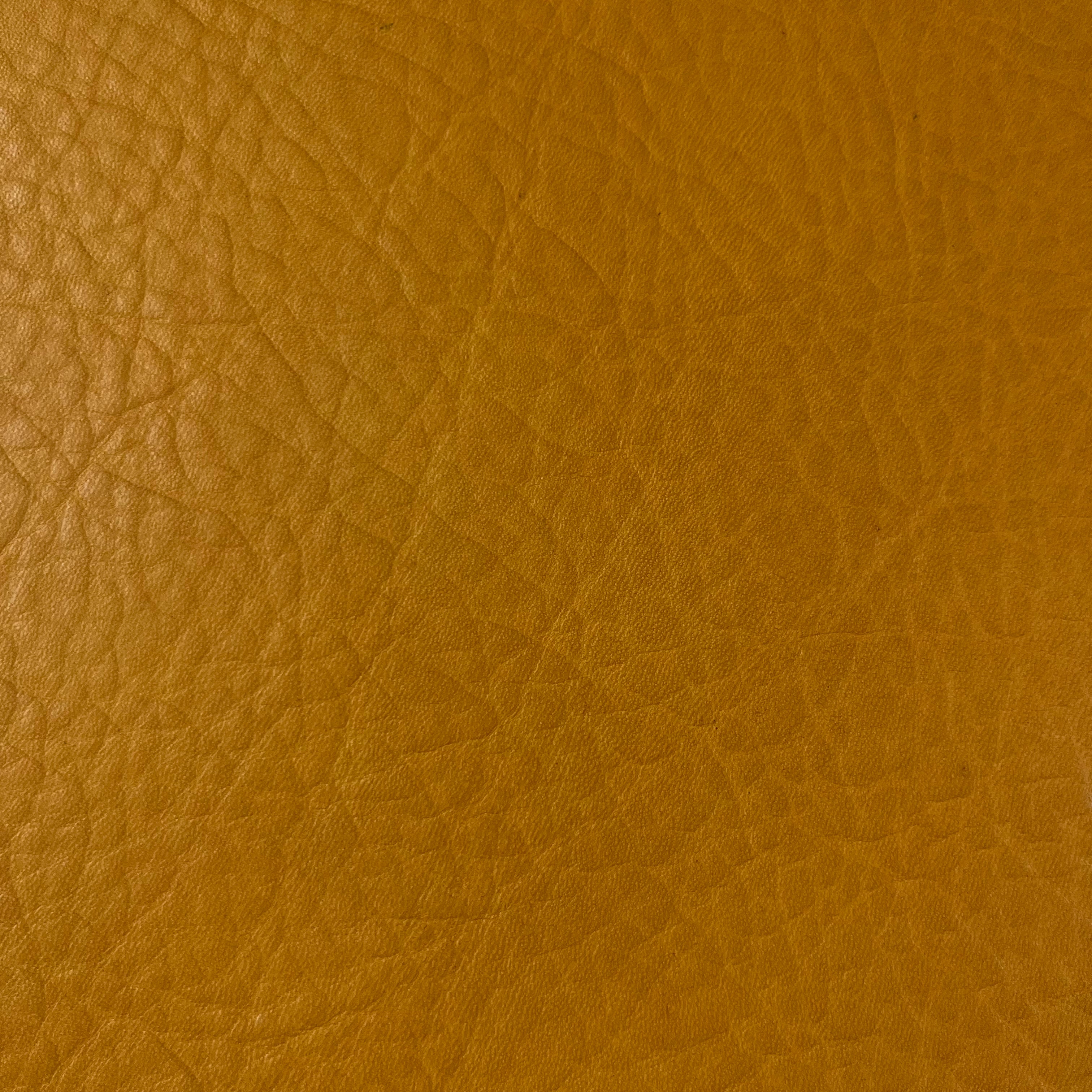 Waxy Full Grain Cowhide, 5 oz | 15 Colors