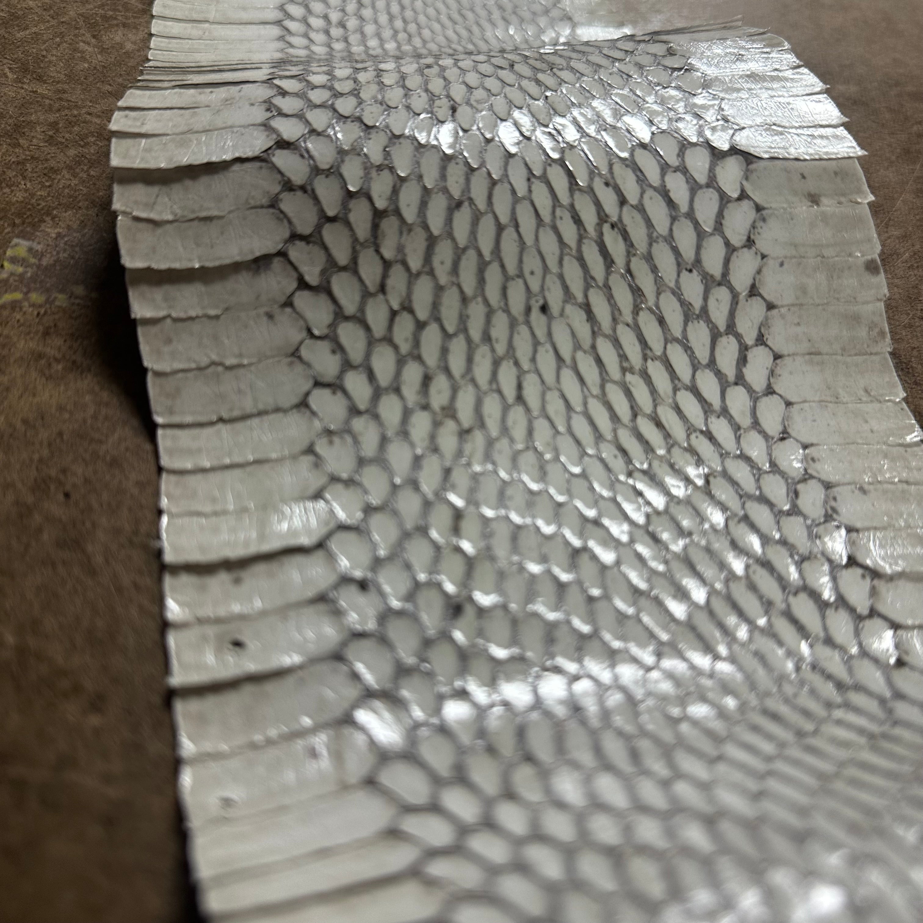 Cobra white genuine snakeskin leather strip featuring a natural, detailed scale pattern on a brown suede background.