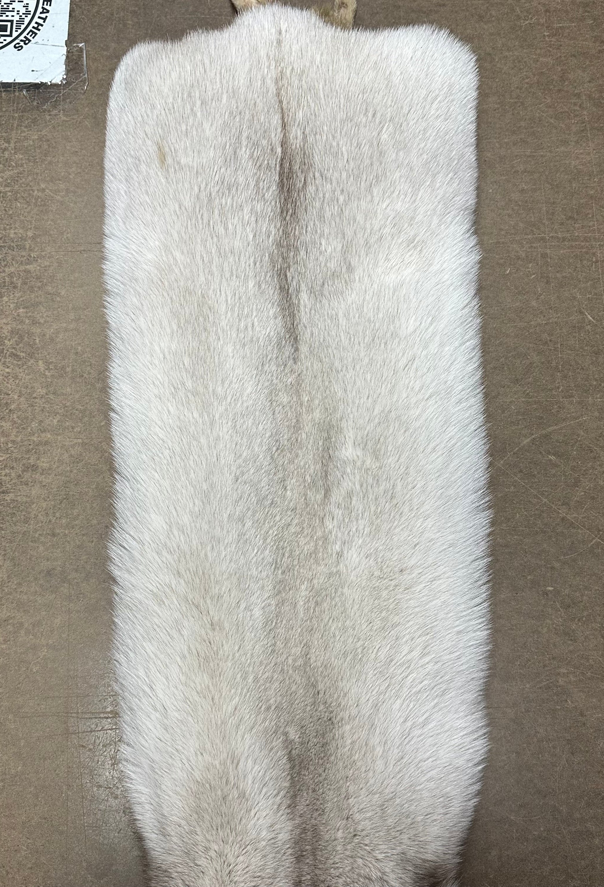 Fox Pelt | 30+ Colors