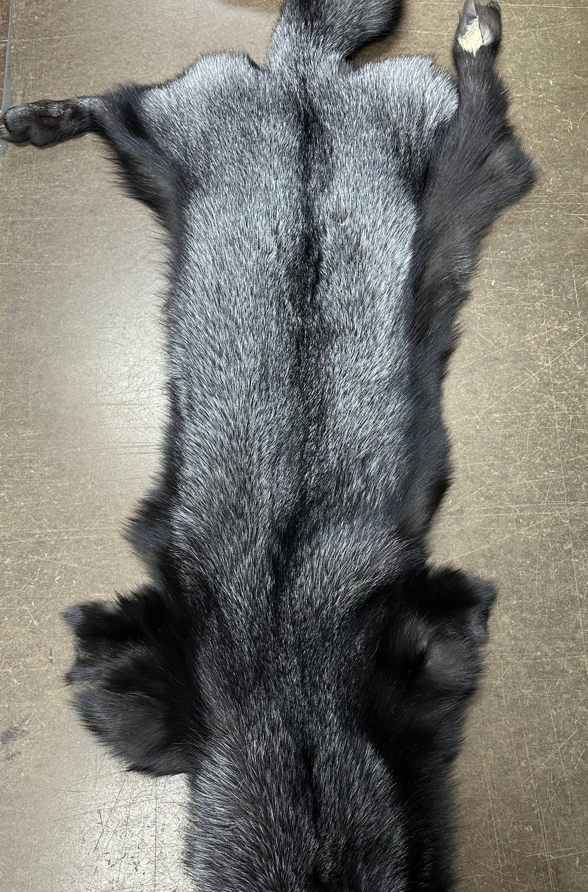 Indigo Fox Pelt