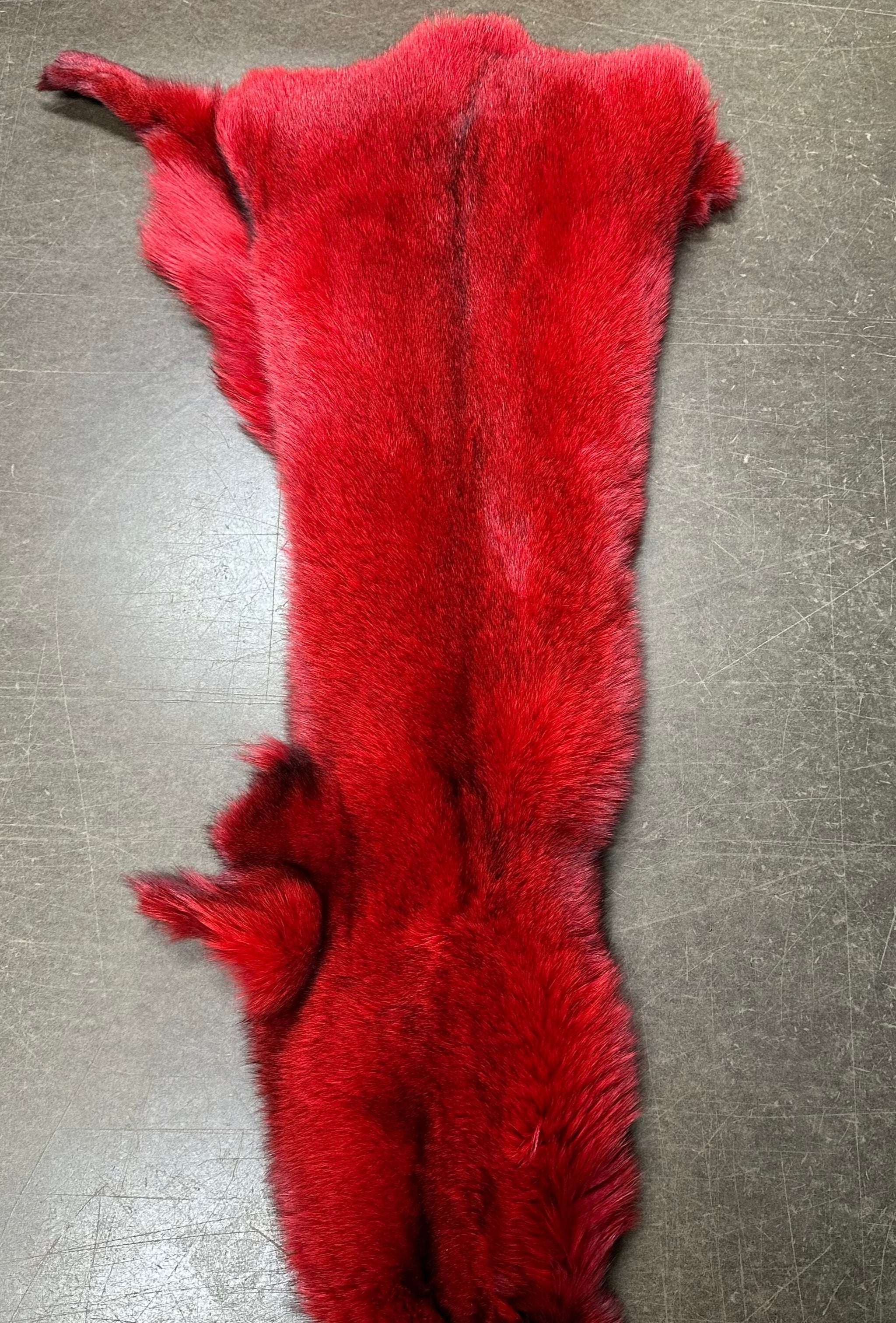 Fox Pelt | 30+ Colors