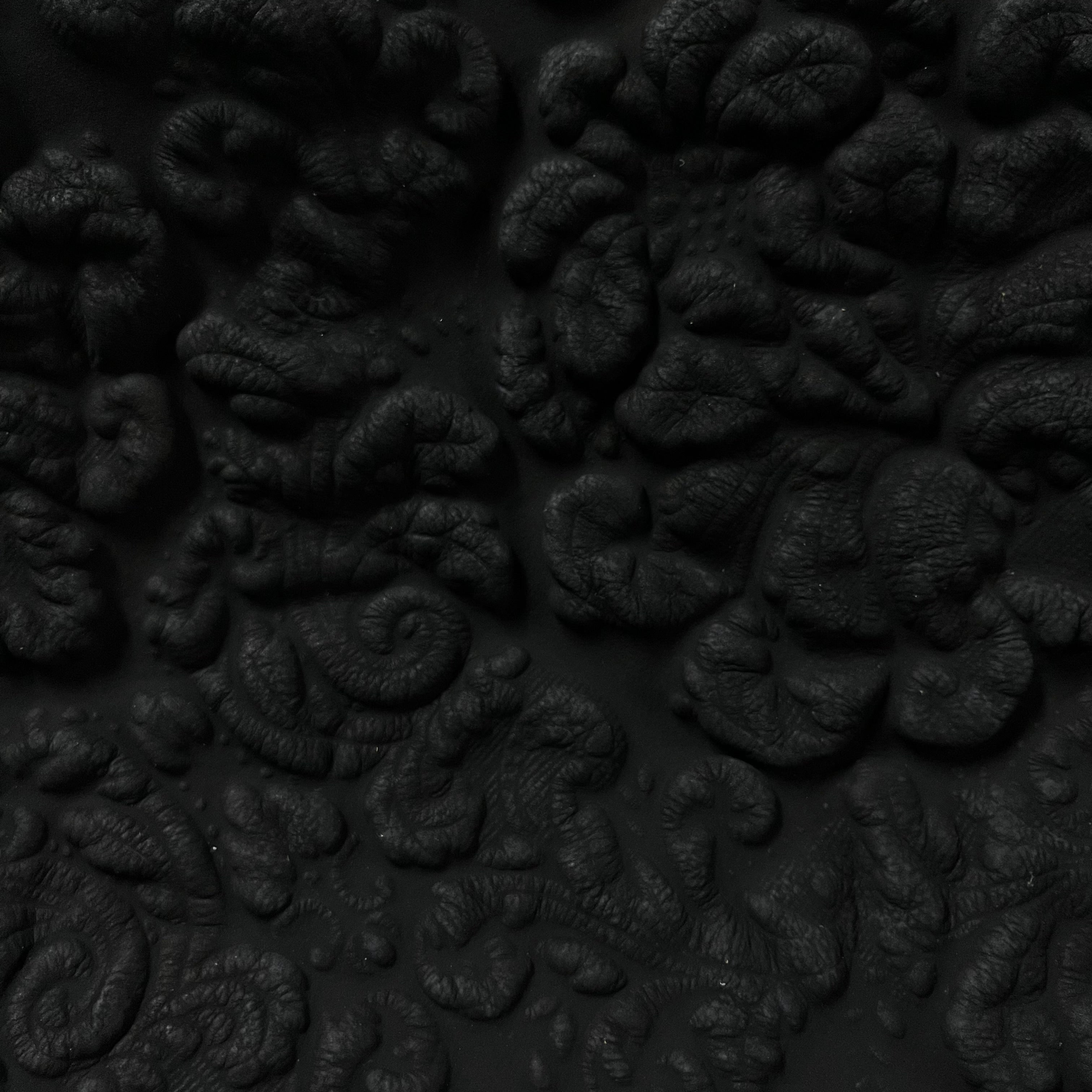 Italian Renaissance Floral Debossed, 2.5oz - 3 Colors