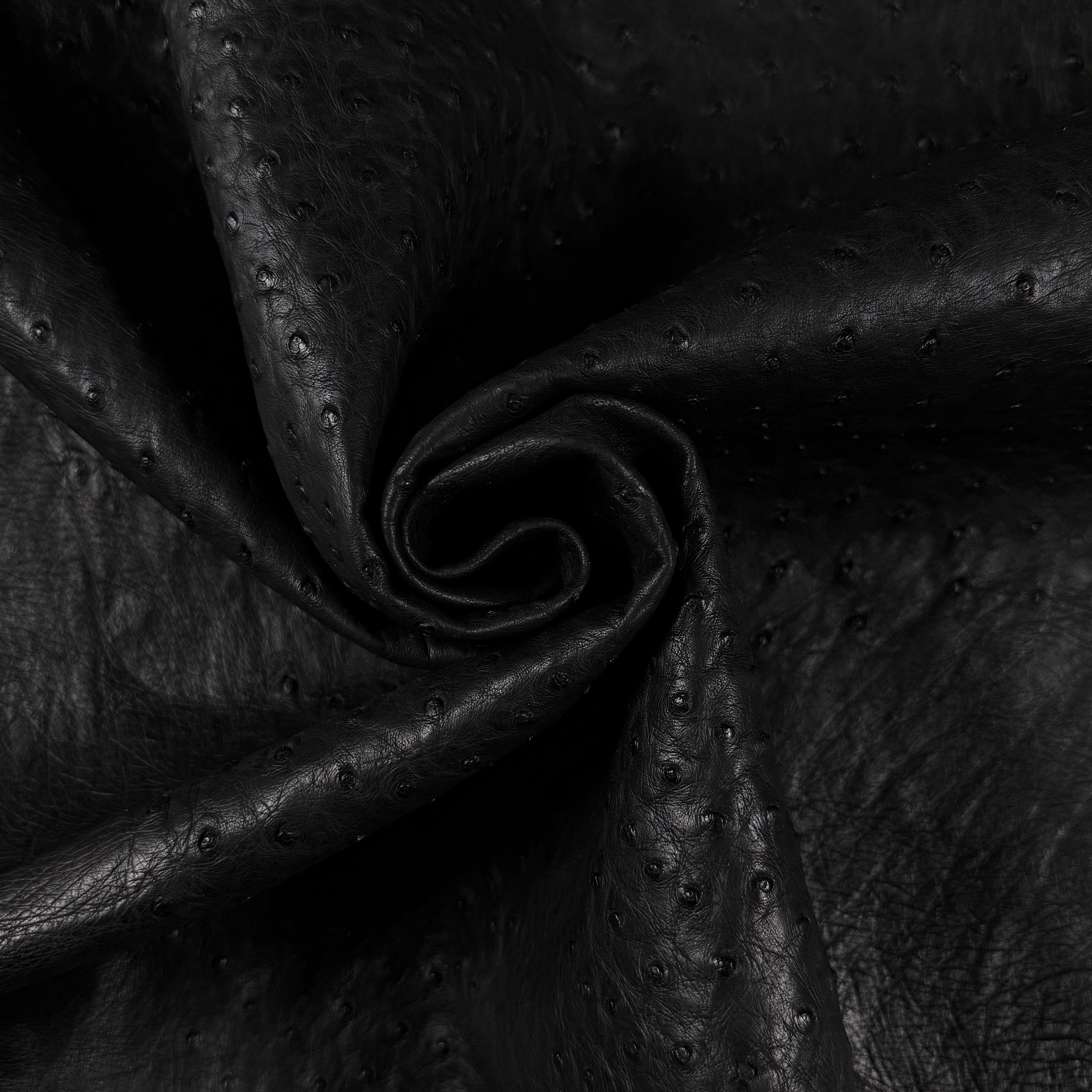 Black full quill genuine ostrich leather with natural raised quill pattern.