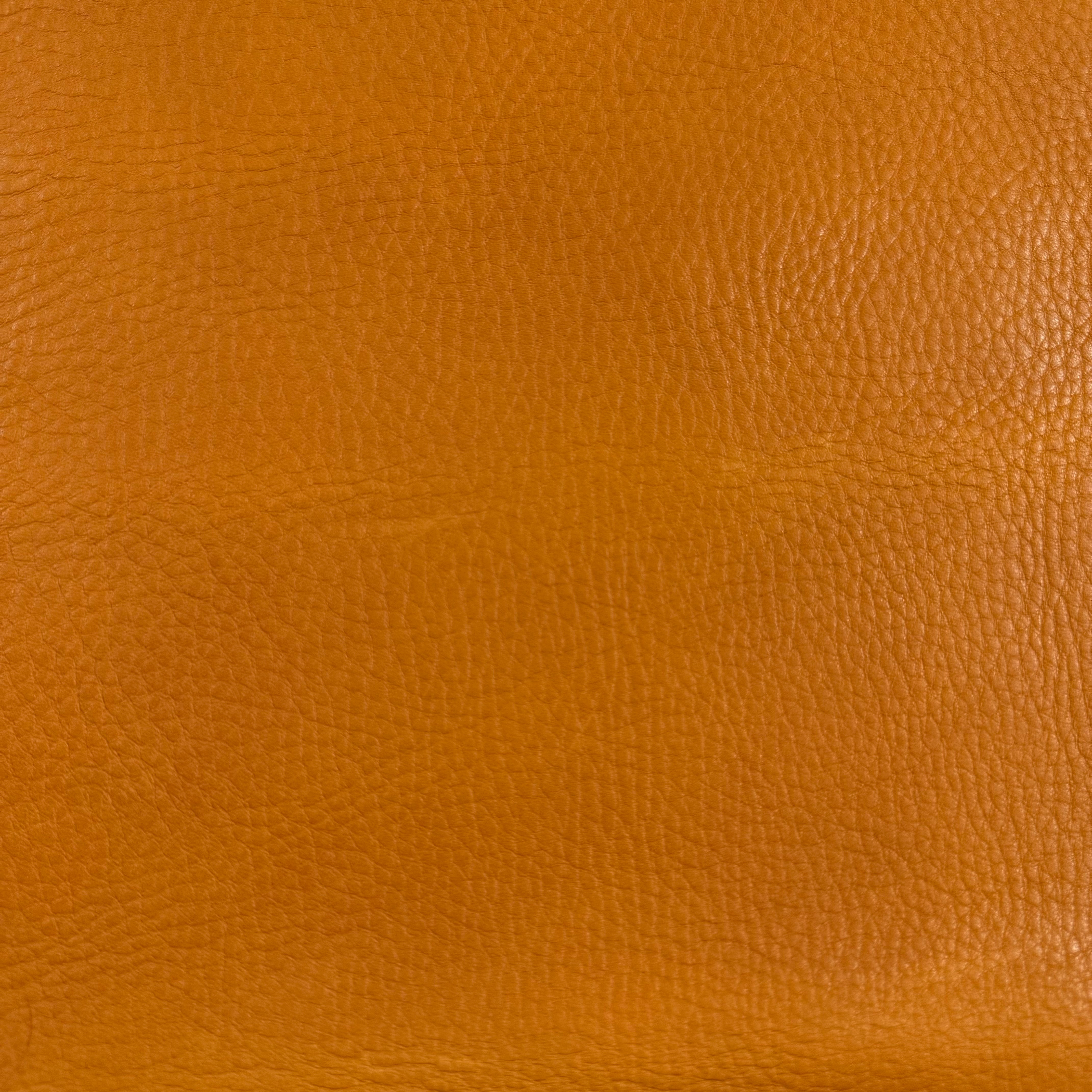 Waxy Full Grain Cowhide, 5 oz | 15 Colors
