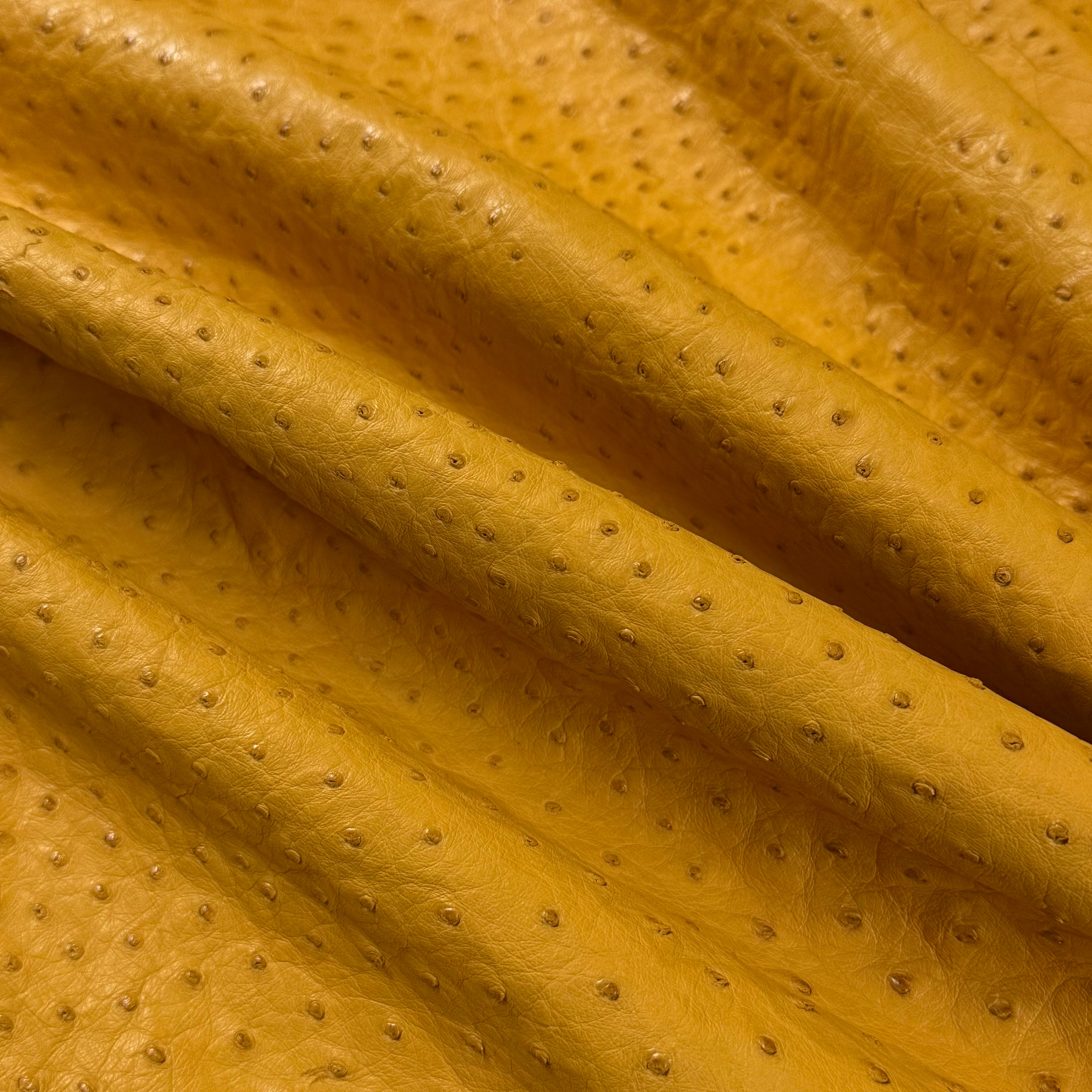 Wrinkled golden yellow full quill genuine ostrich leather with a distinct raised pattern.