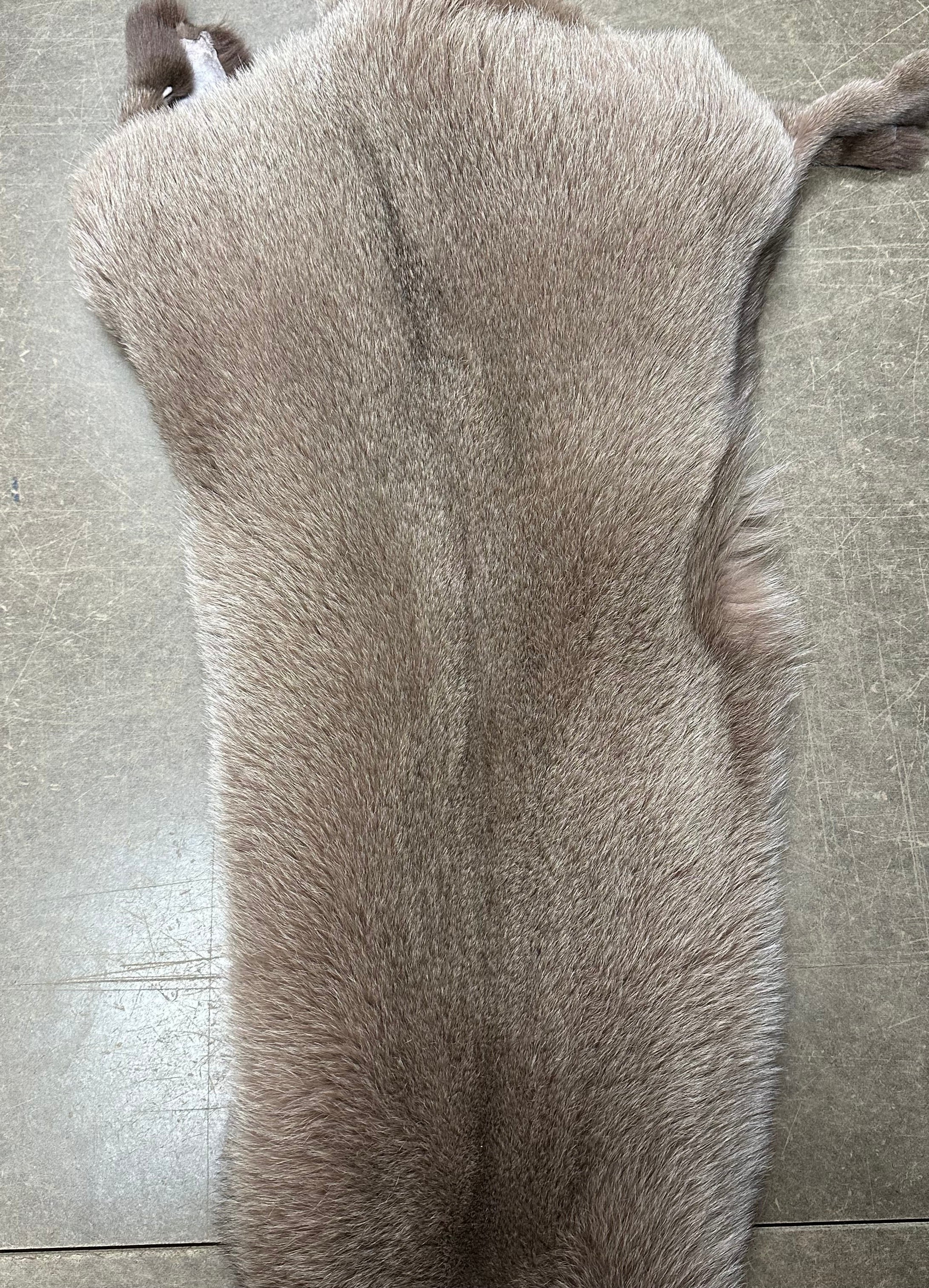 Fox Pelt | 30+ Colors