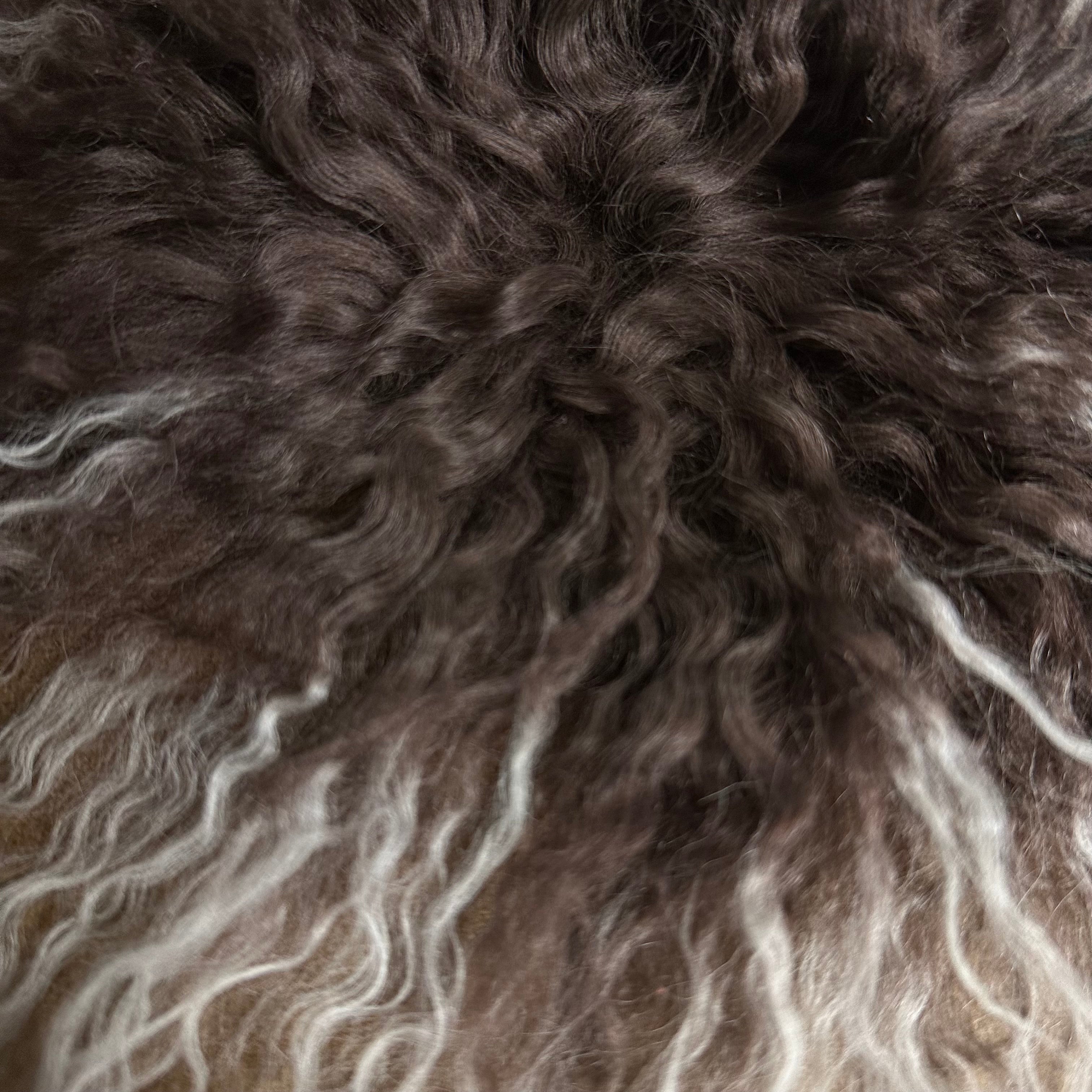 Mongolian Tibetan Curly Lamb Plate | 30+ Colors