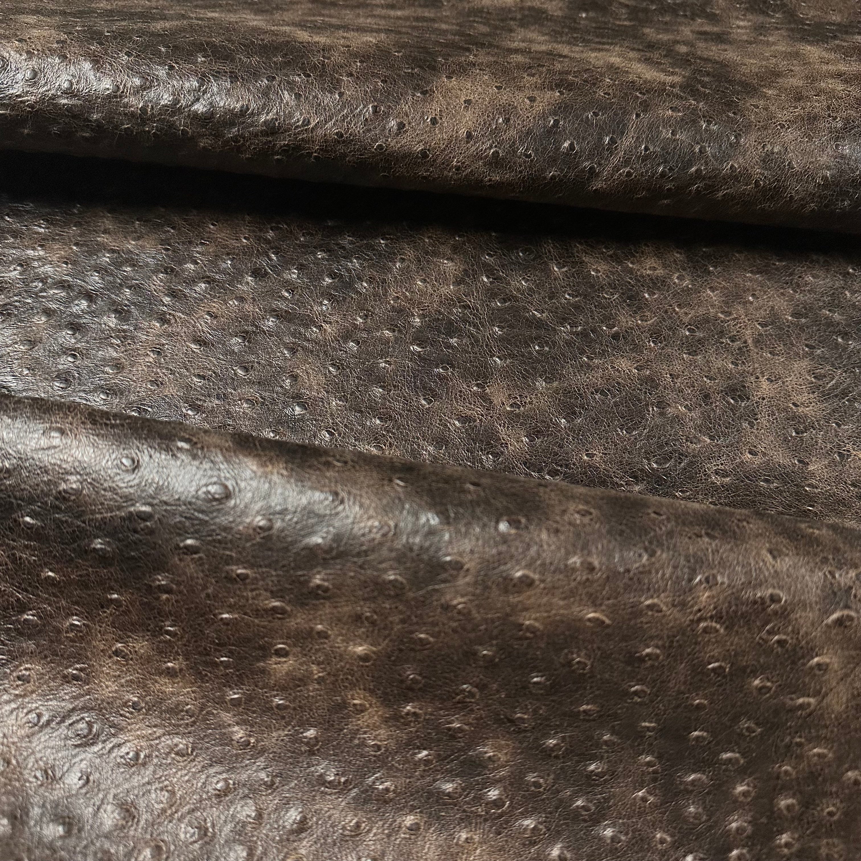 Distressed Two-Tone Ostrich Embossed Cow, 3 oz