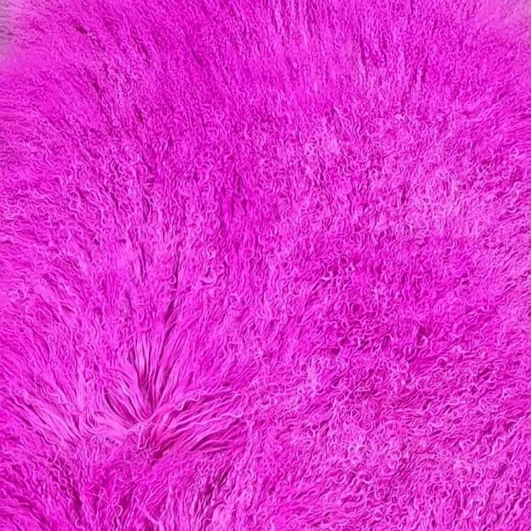 Mongolian Curly Lamb Plate | 30+ Colors