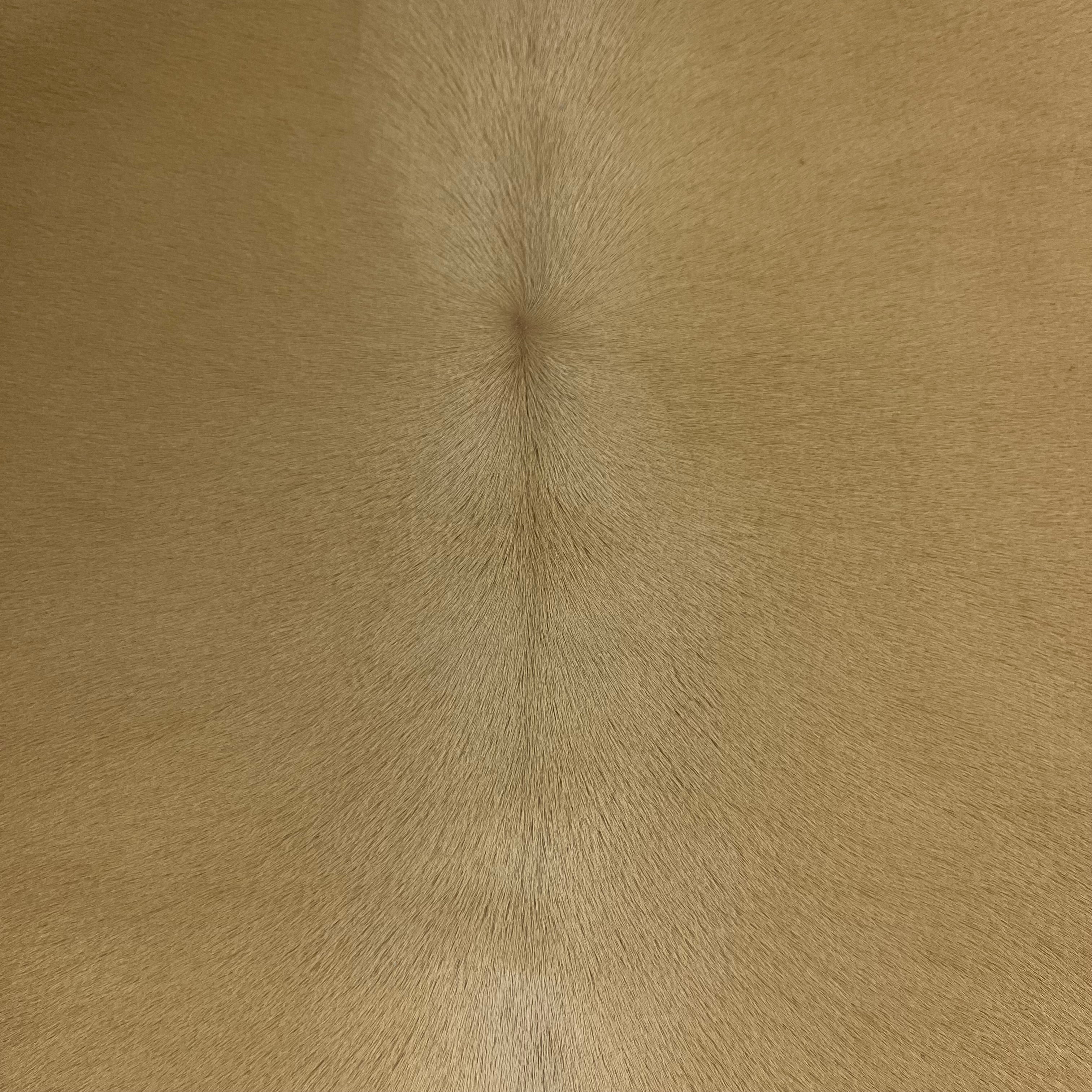 Cavalino Hair-On Calf, 2 oz | 20+ Colors