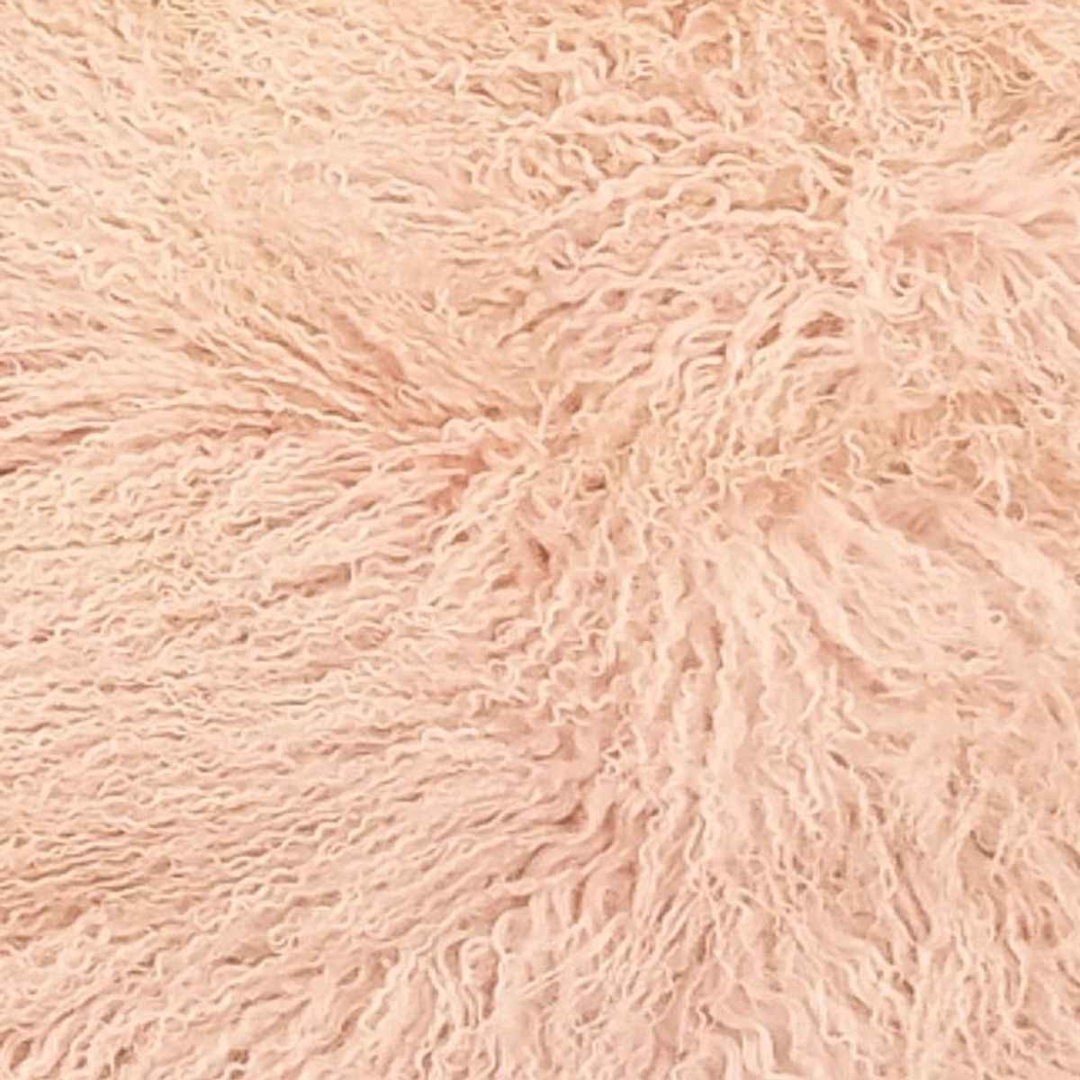 Mongolian Curly Lamb Plate | 30+ Colors