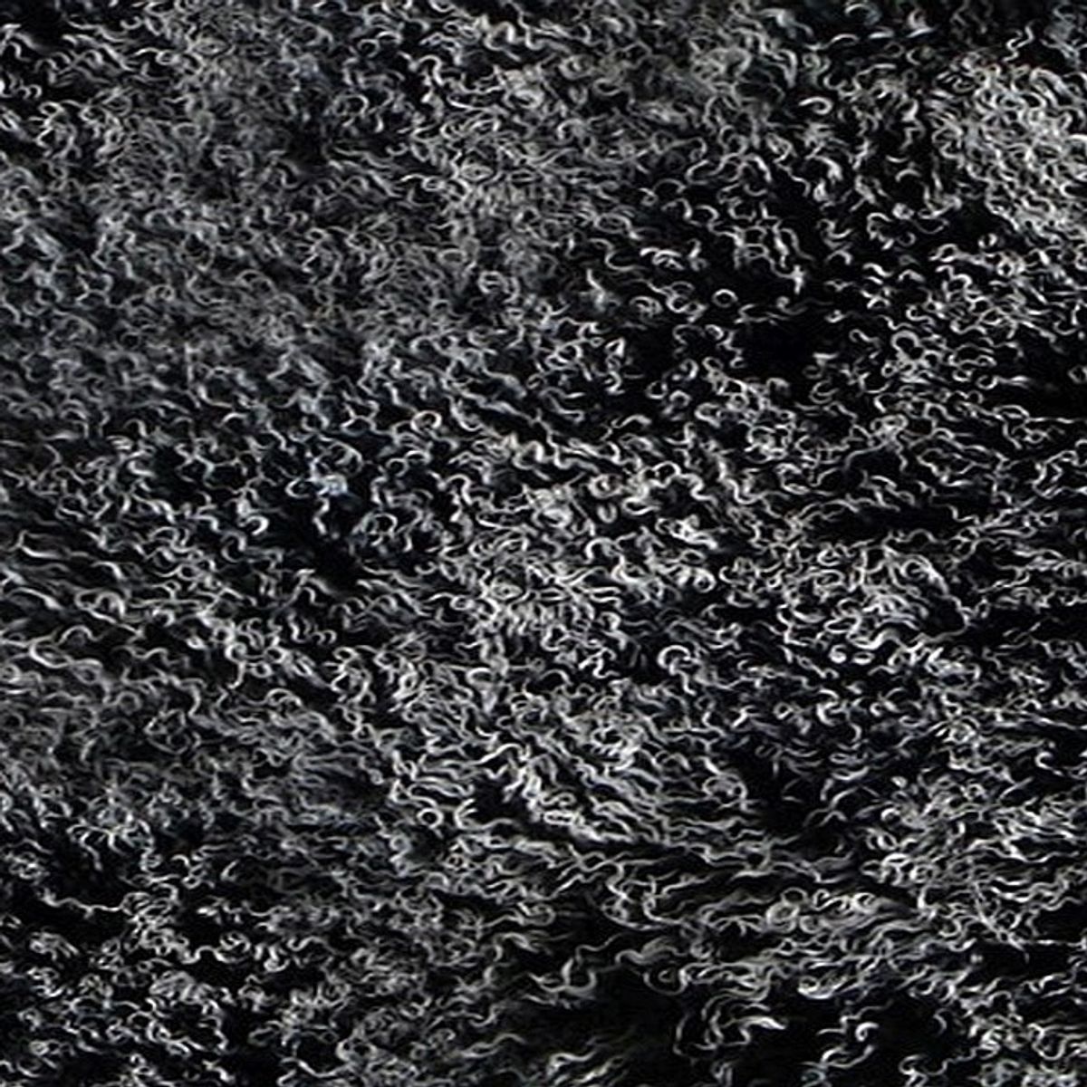 Mongolian Curly Lamb Plate | 30+ Colors