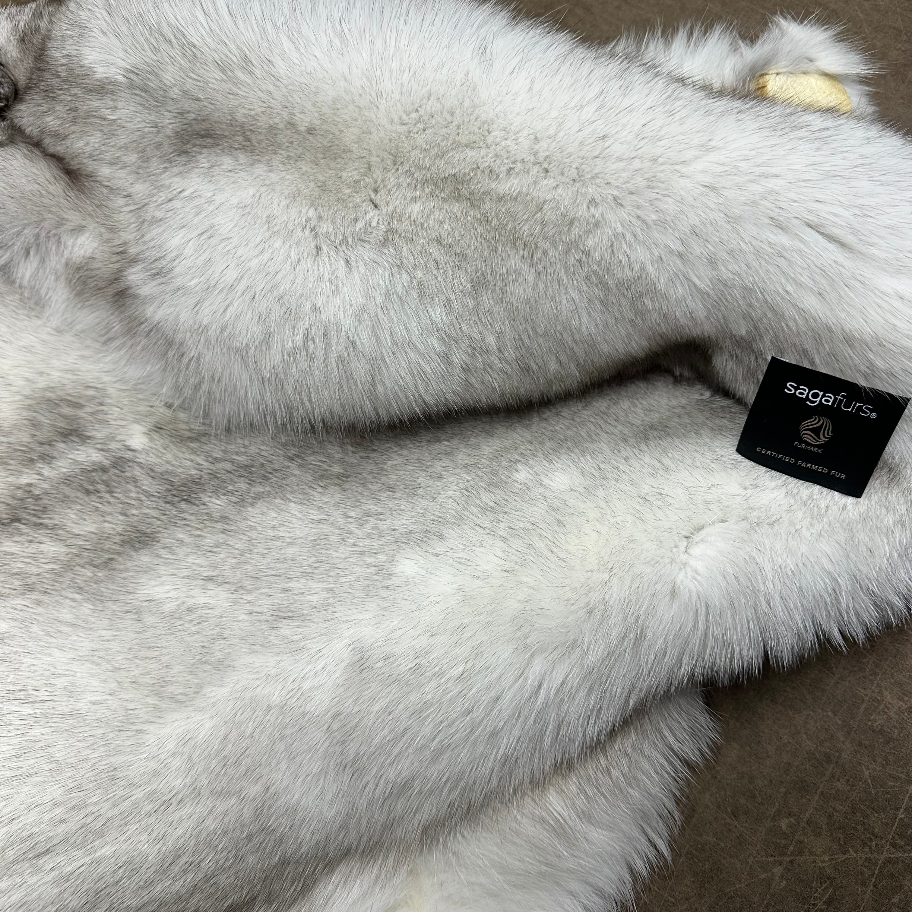 Blue Fox Pelt