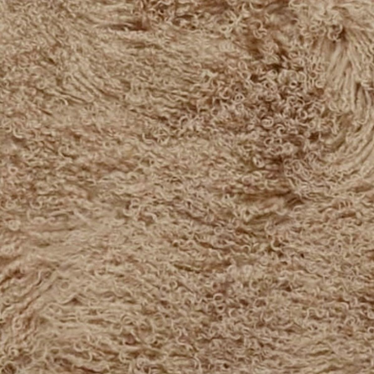 Mongolian Curly Lamb Plate | 30+ Colors