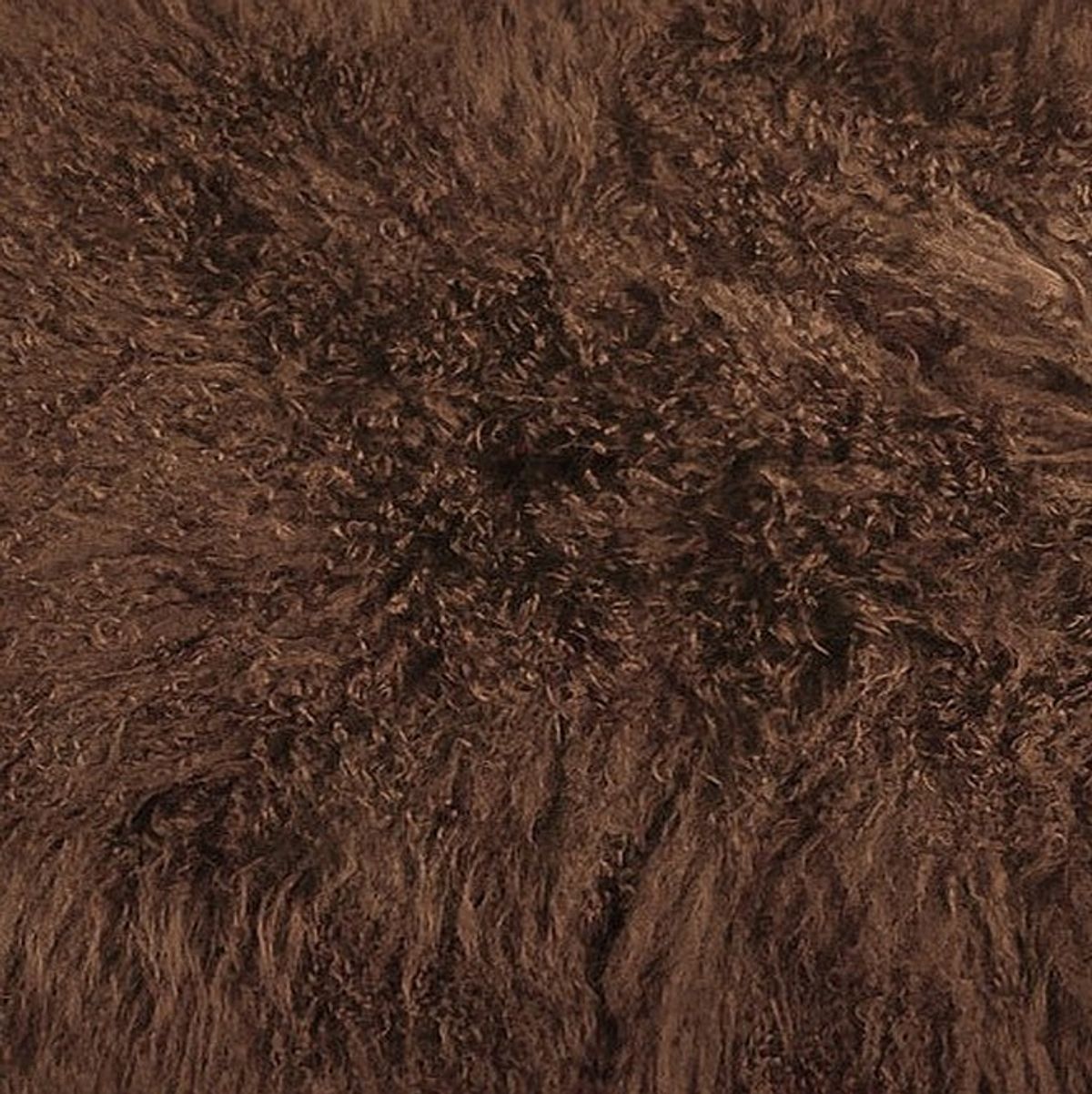 Mongolian Curly Lamb Plate | 30+ Colors