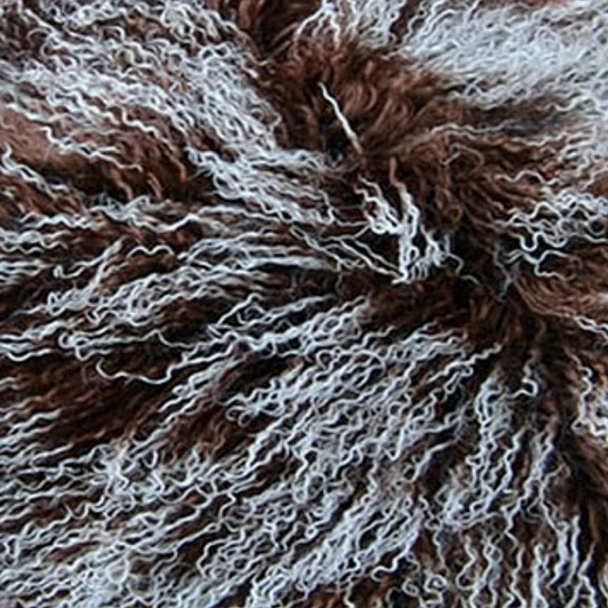 Mongolian Curly Lamb Plate | 30+ Colors