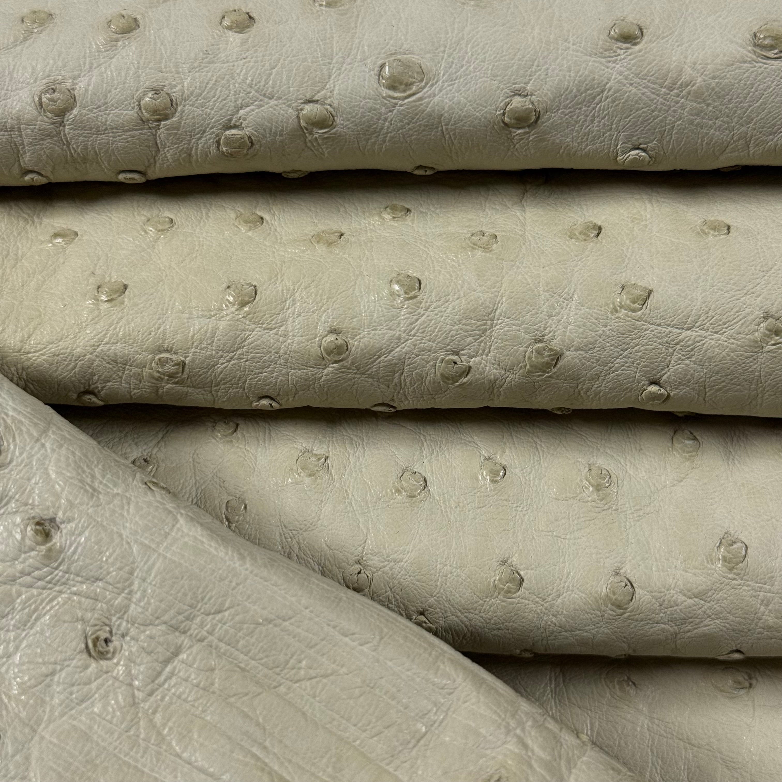 Folded cream full quill genuine ostrich leather with natural raised quill pattern.