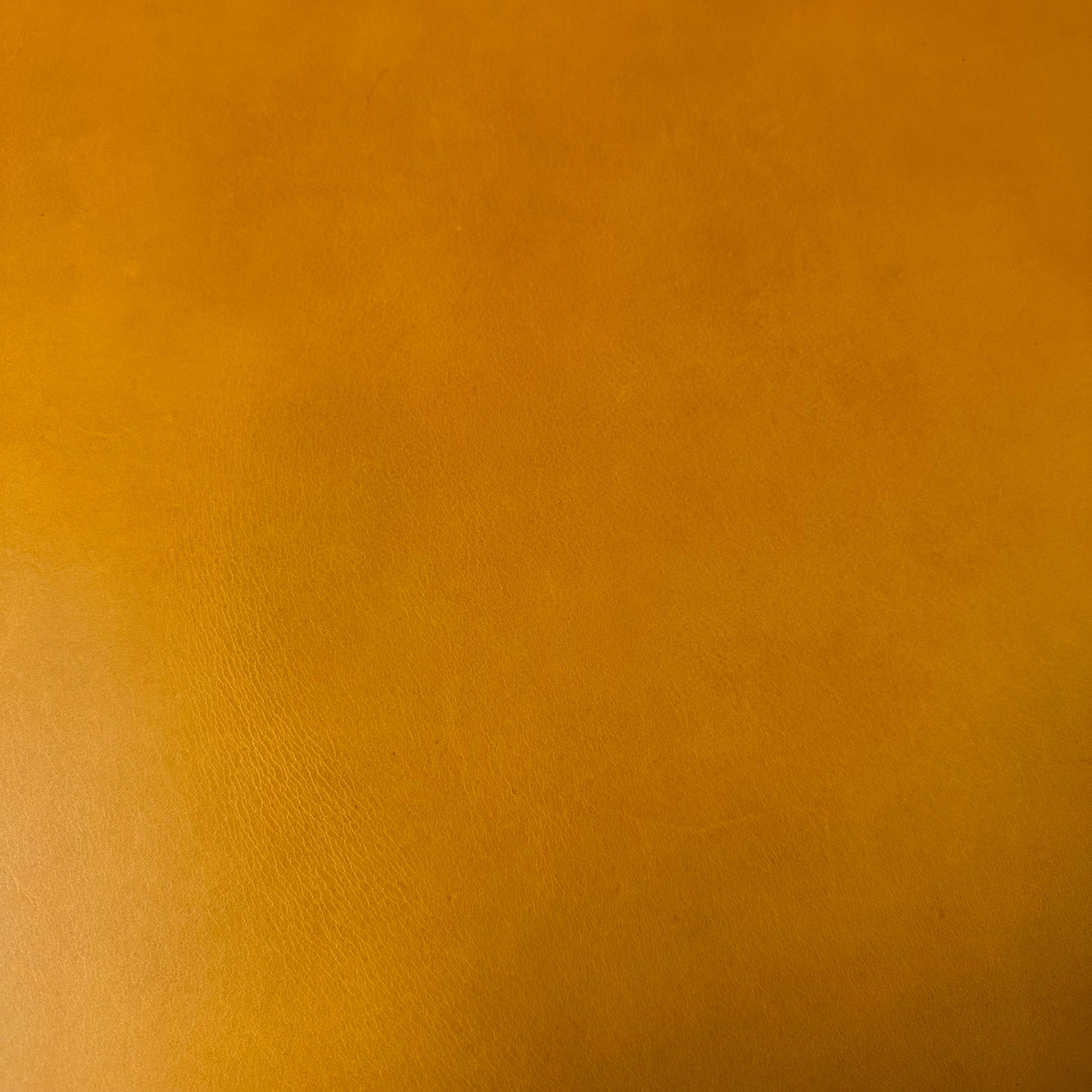 Conceria Walpier Buttero, 7 oz. | 6 Colors