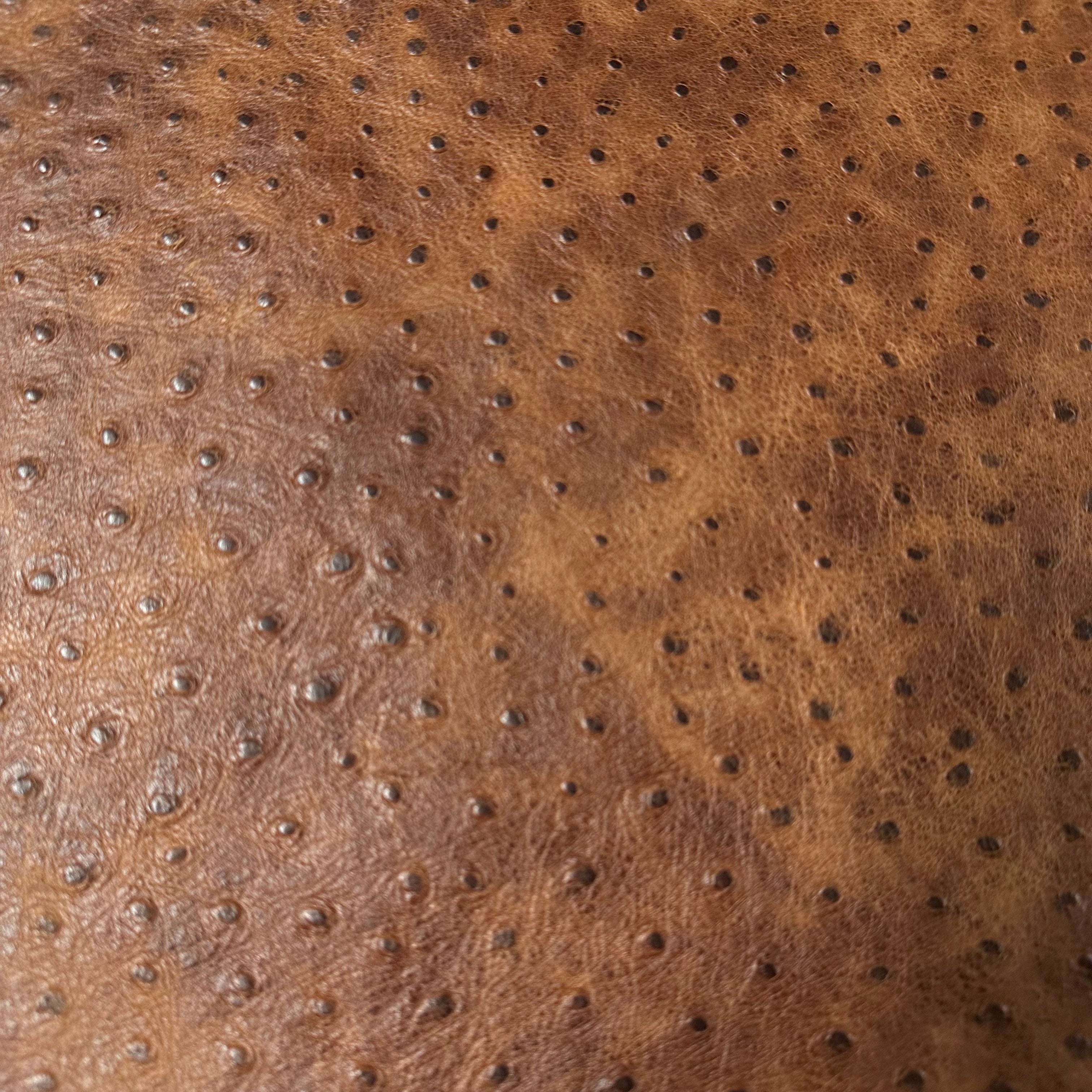 Distressed Two-Tone Ostrich Embossed Cow, 3 oz