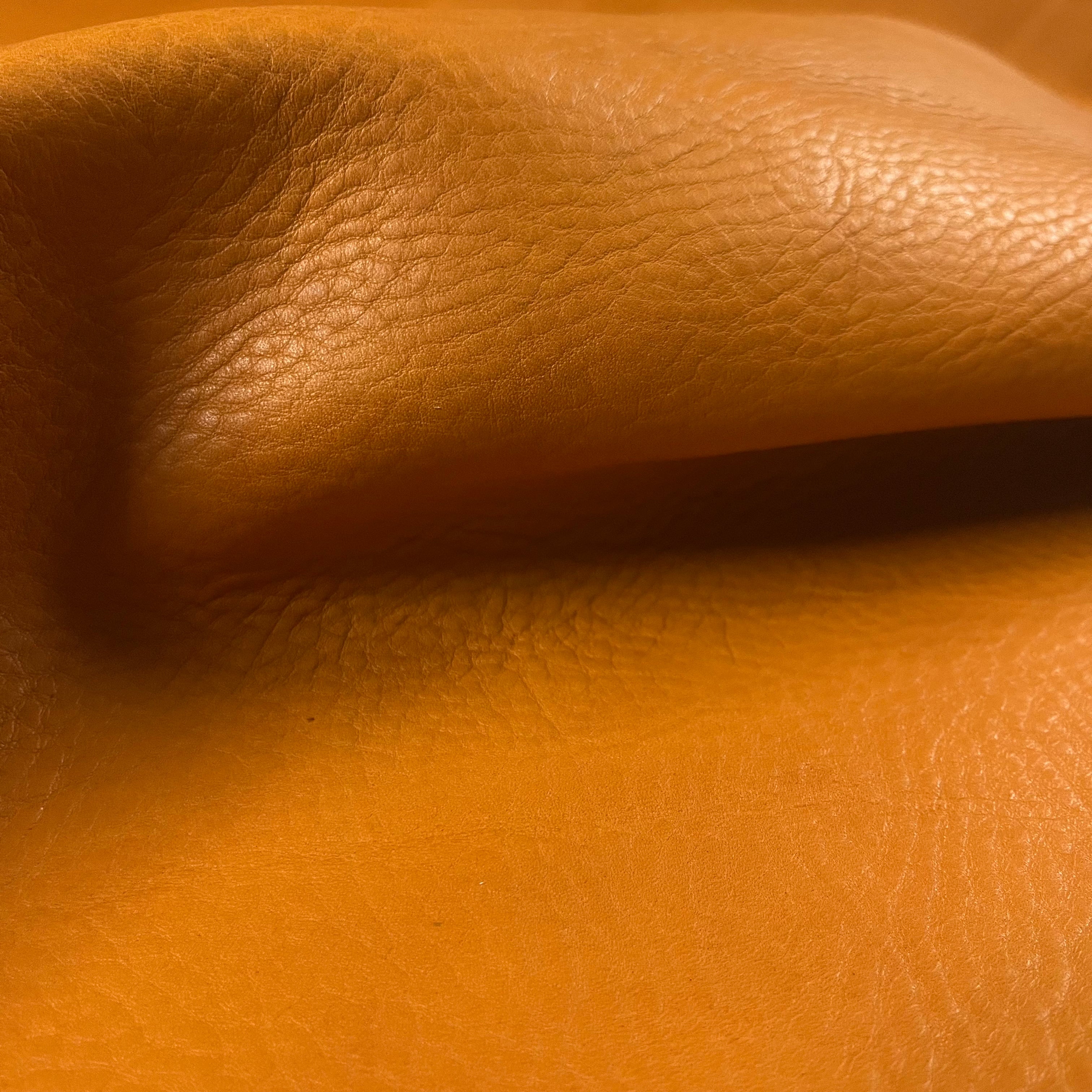 Waxy Full Grain Cowhide, 5 oz | 15 Colors