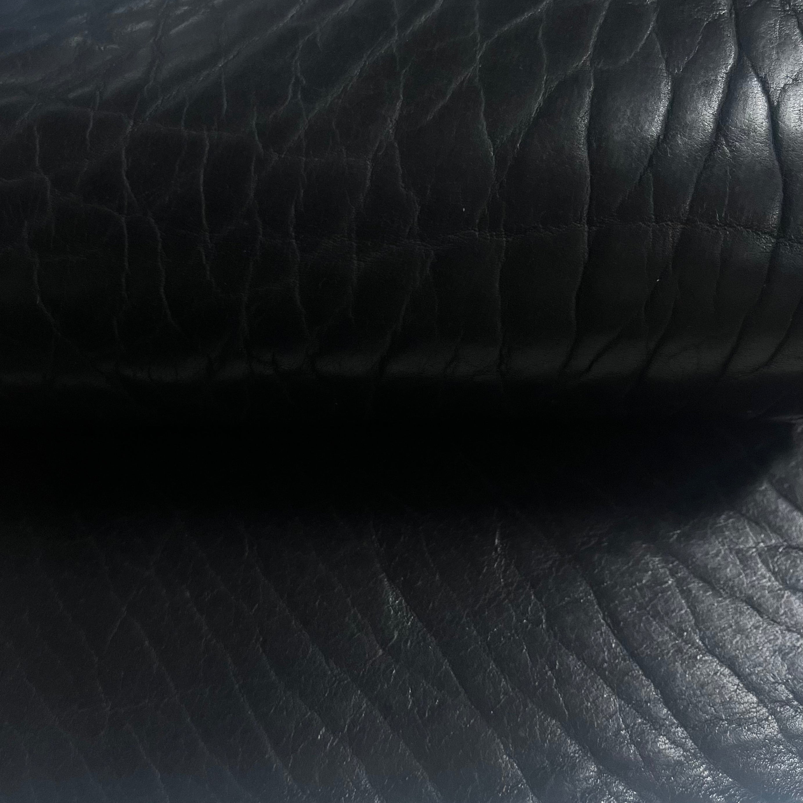 Shrunken American Bison, 6-7 oz | 7 Colors