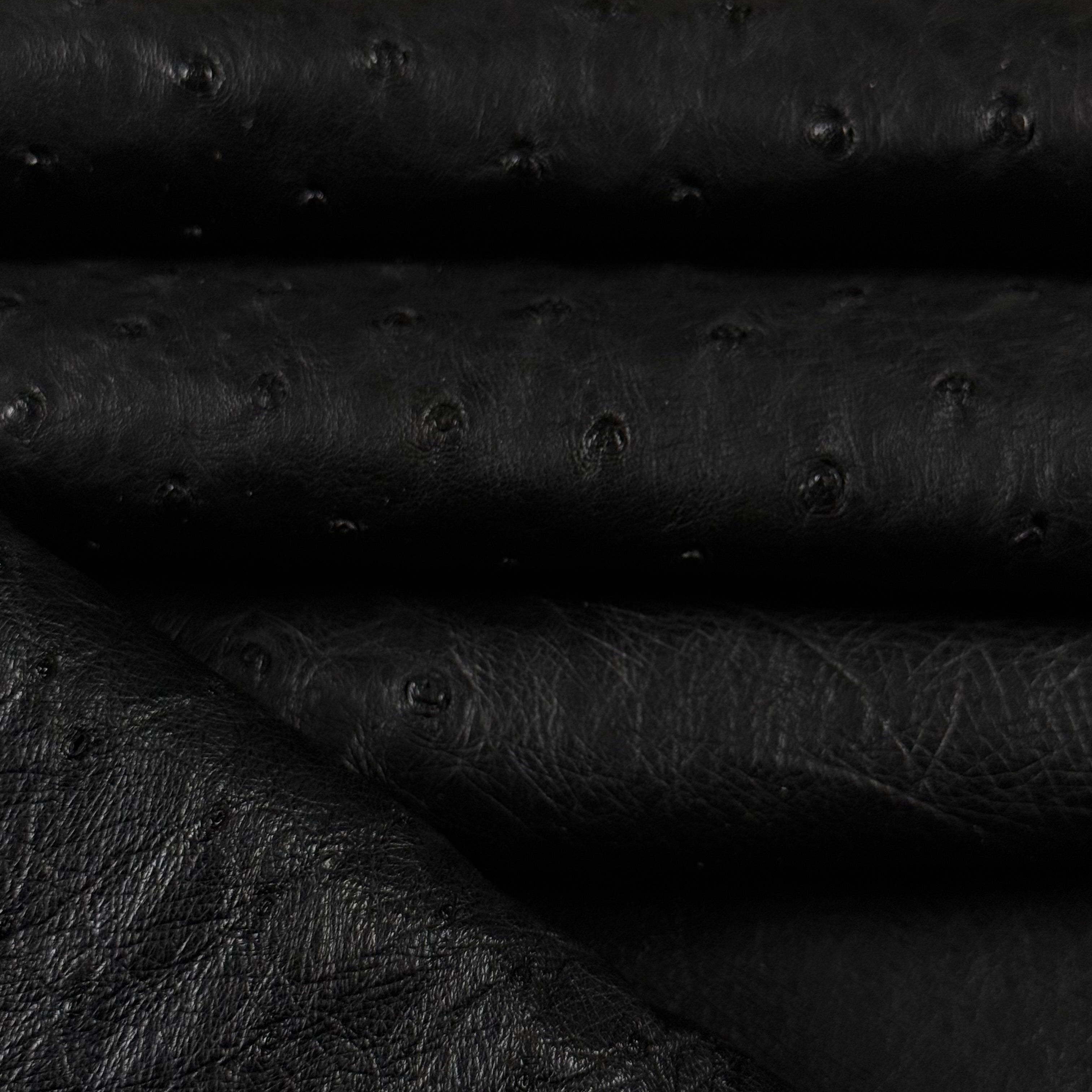 Black full quill genuine ostrich leather with natural raised quill pattern and soft texture.